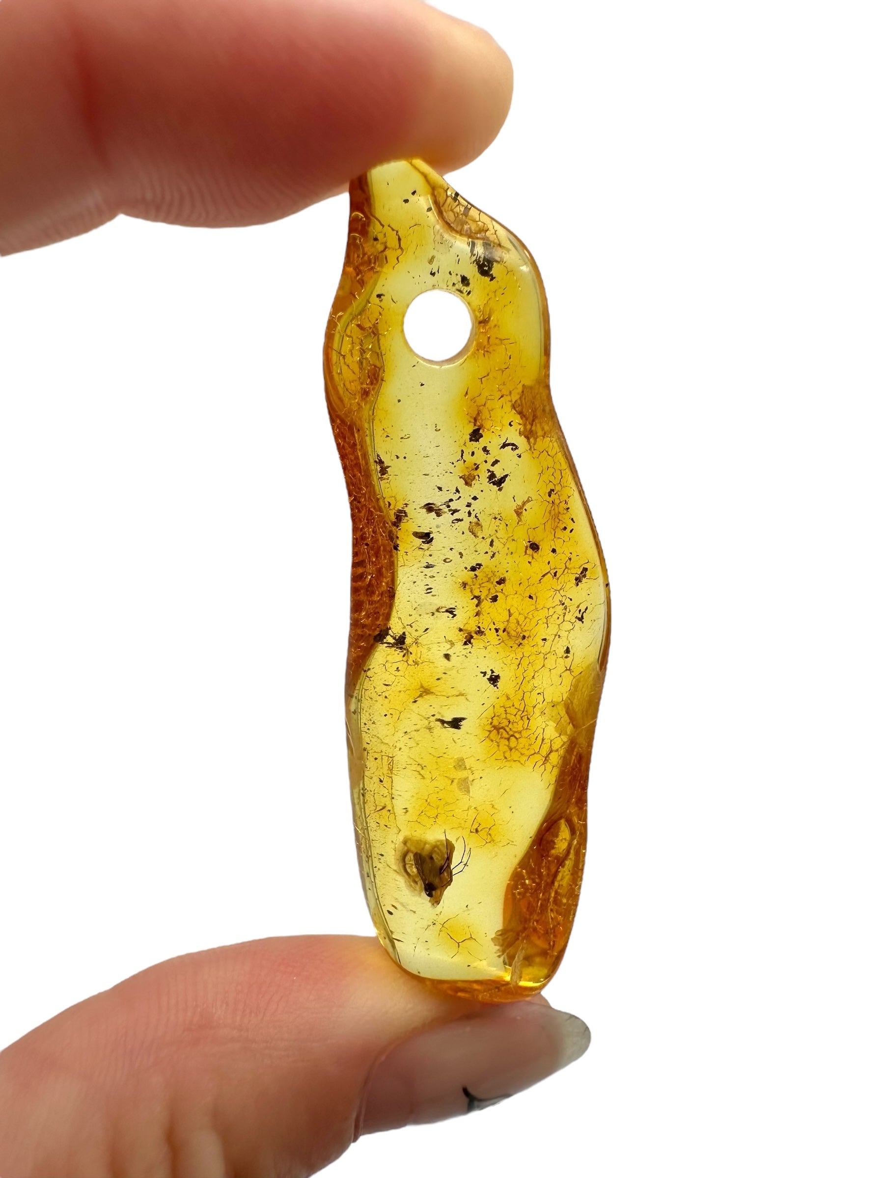 Insect in amber with a drilled hole for hanging 4,2g – Lithuania