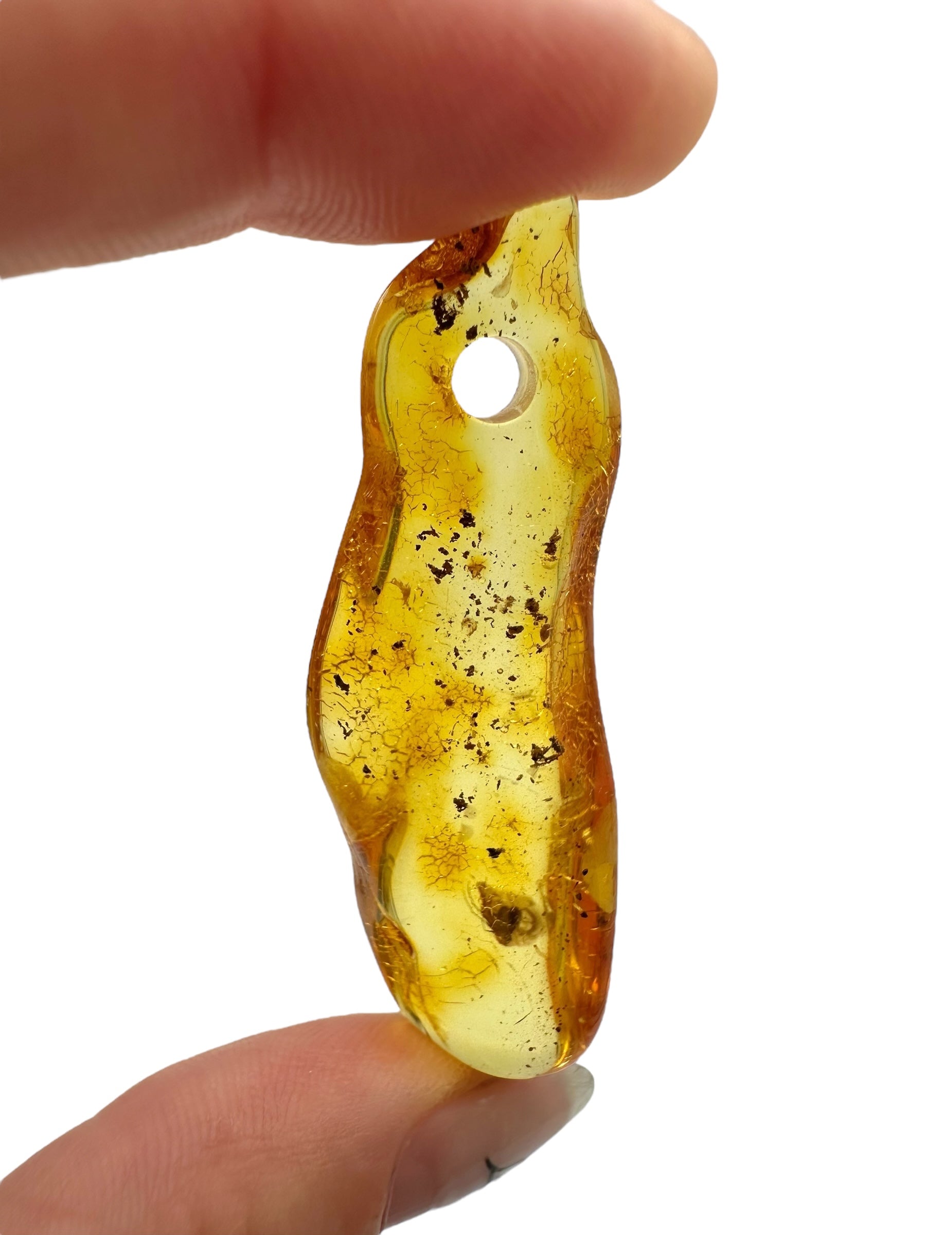 Insect in amber with a drilled hole for hanging 4,2g – Lithuania - IJD02
