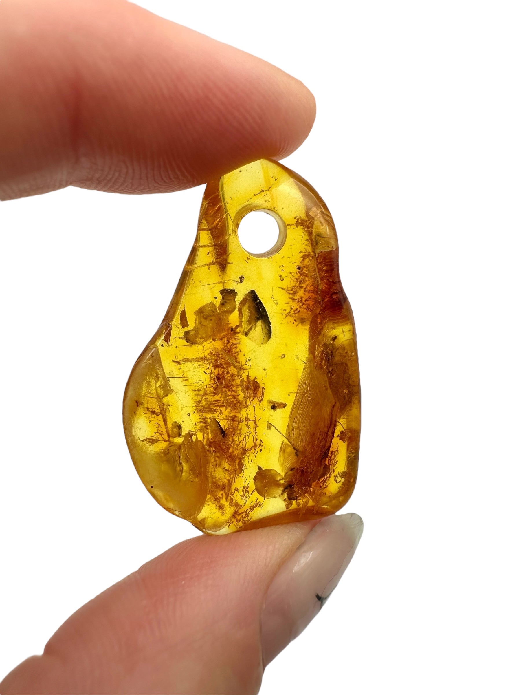 Insect in amber with a drilled hole for hanging 3,6g – Lithuania - IJD03