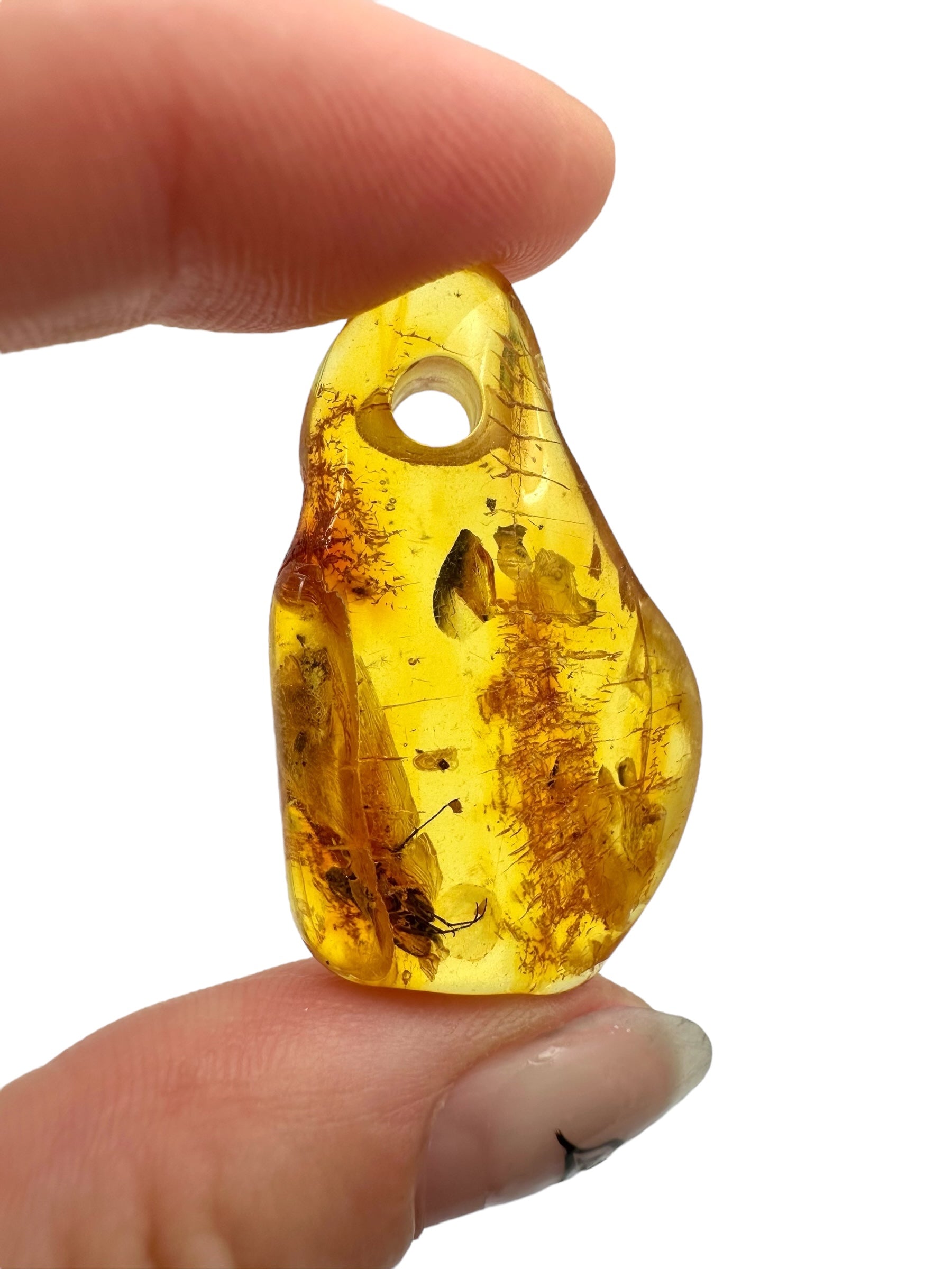 Insect in amber with a drilled hole for hanging 3,6g – Lithuania