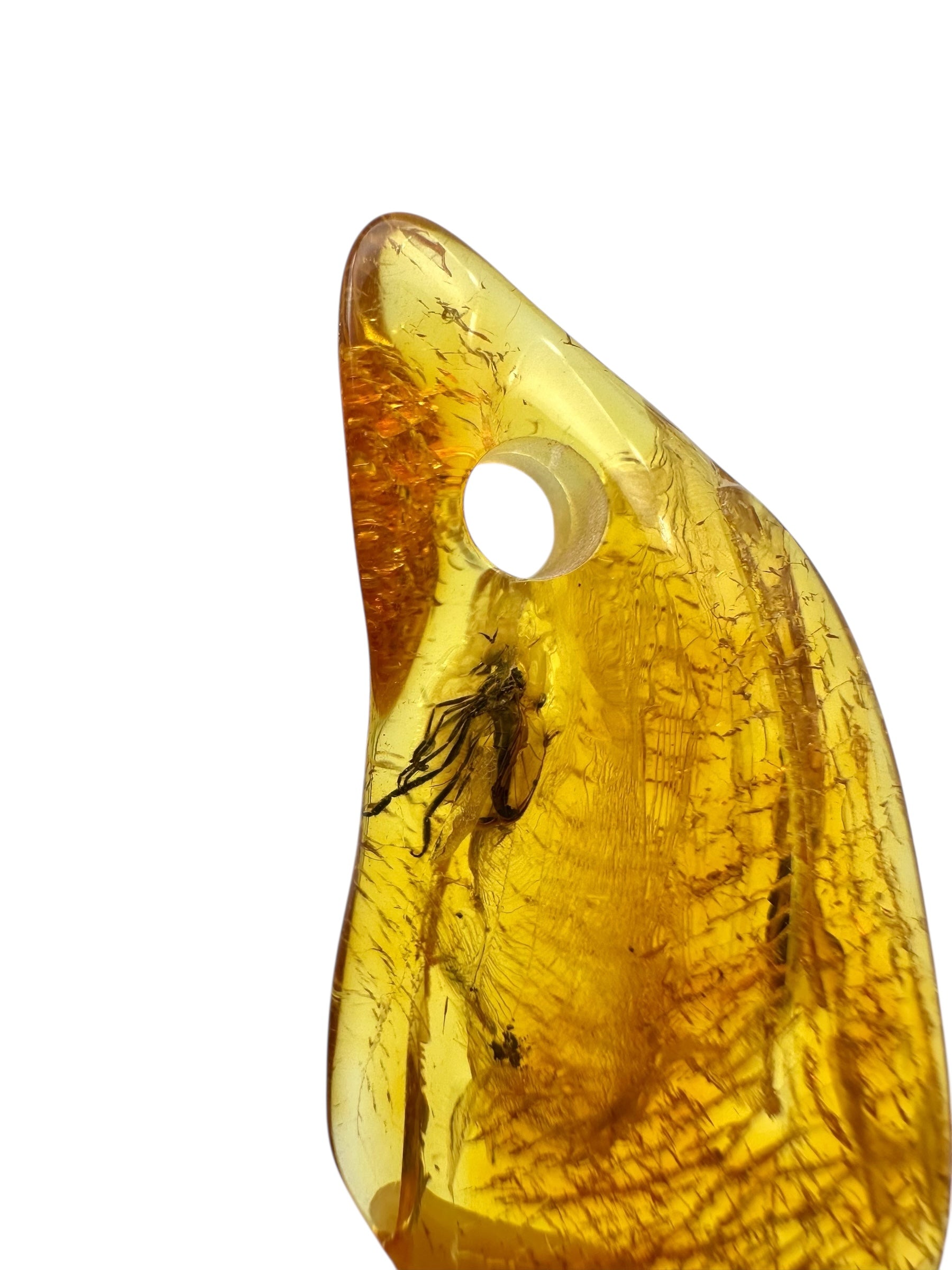 Insect in amber with a drilled hole for hanging 2,5g – Lithuania - IJD04