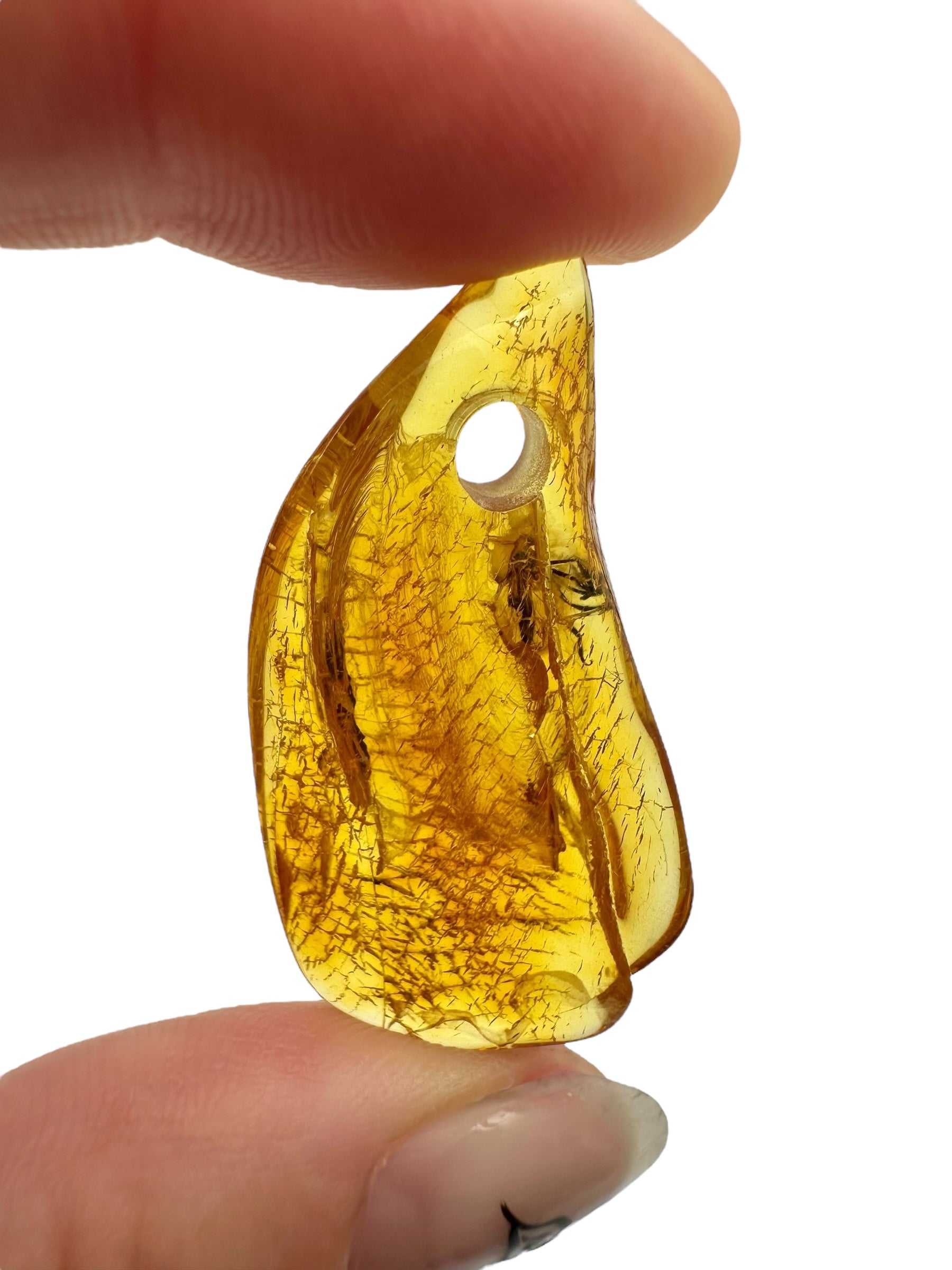 Insect in amber with a drilled hole for hanging 2,5g – Lithuania - IJD04