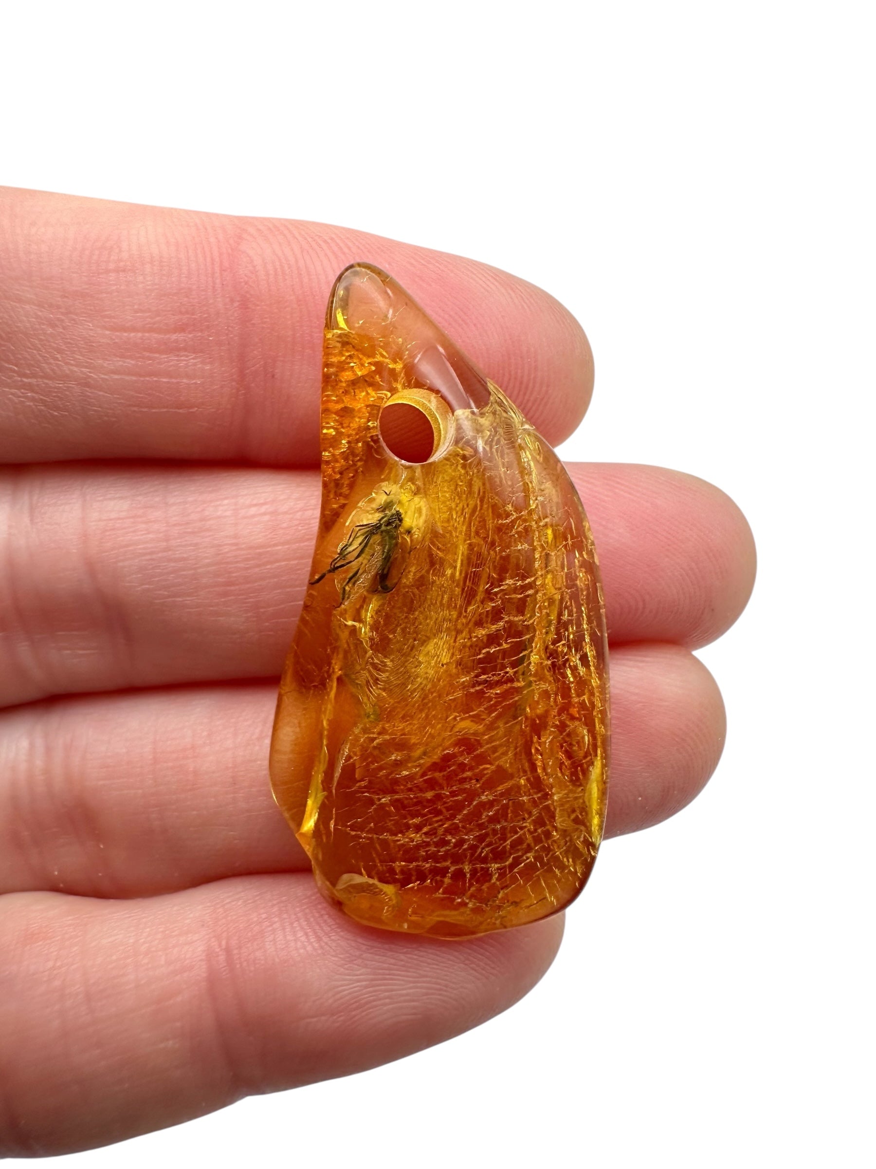 Insect in amber with a drilled hole for hanging 2,5g – Lithuania - IJD04