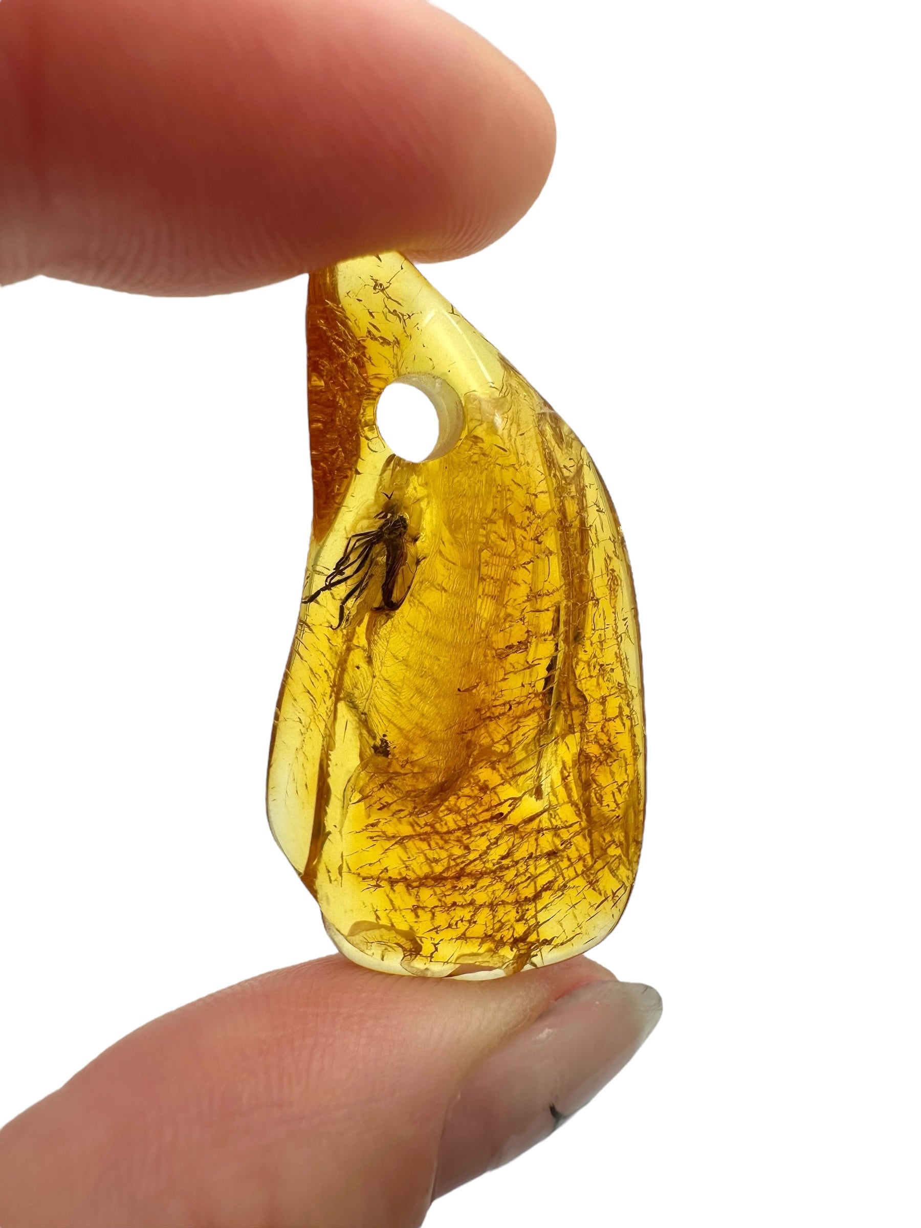 Insect in amber with a drilled hole for hanging 2,5g – Lithuania