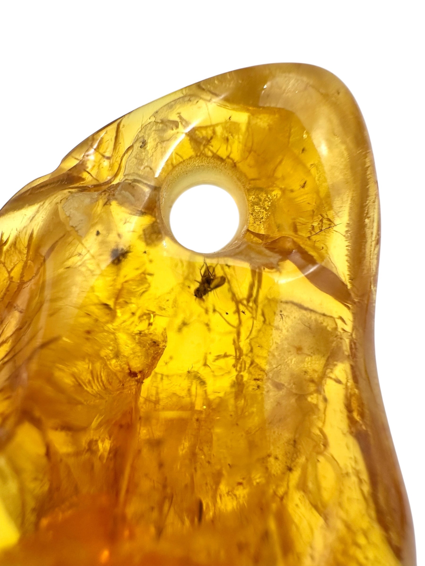 Insect in amber with a drilled hole for hanging 5,9g – Lithuania - IJD05