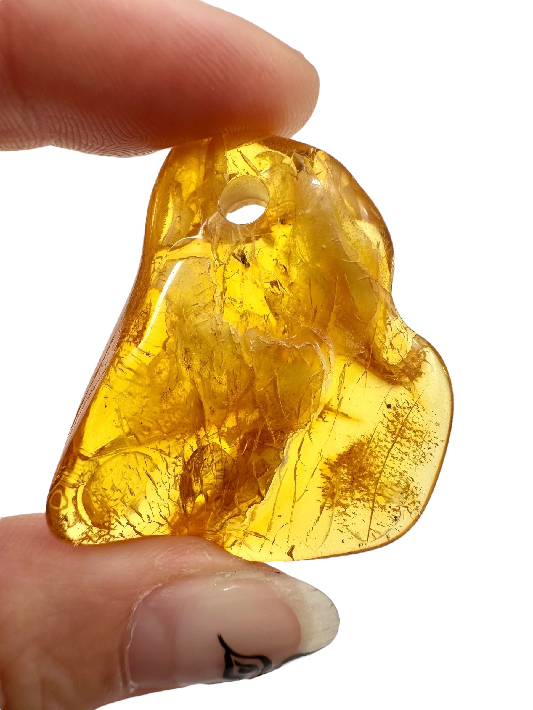 Insect in amber with a drilled hole for hanging 5,9g – Lithuania - IJD05