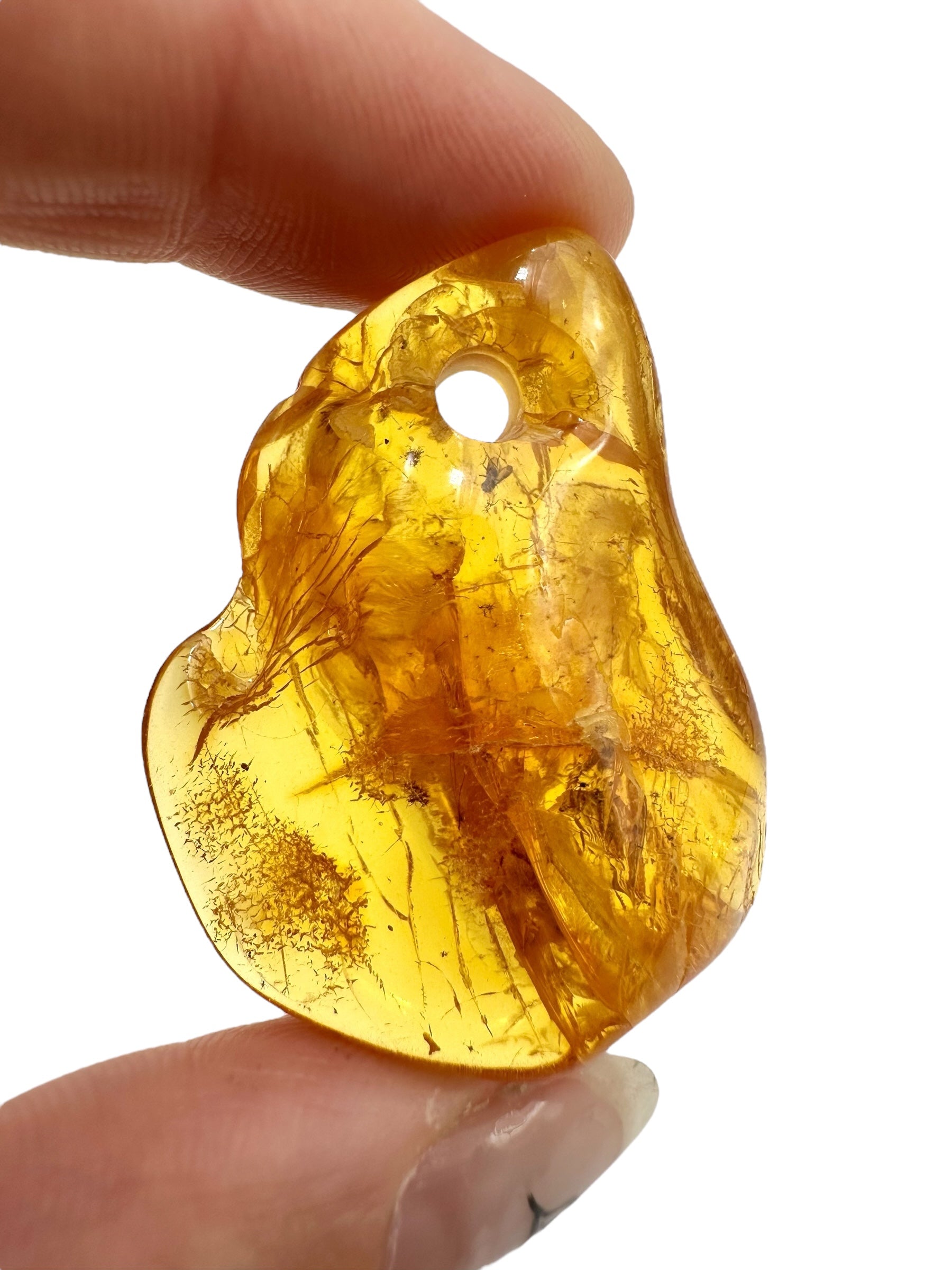 Insect in amber with a drilled hole for hanging 5,9g – Lithuania