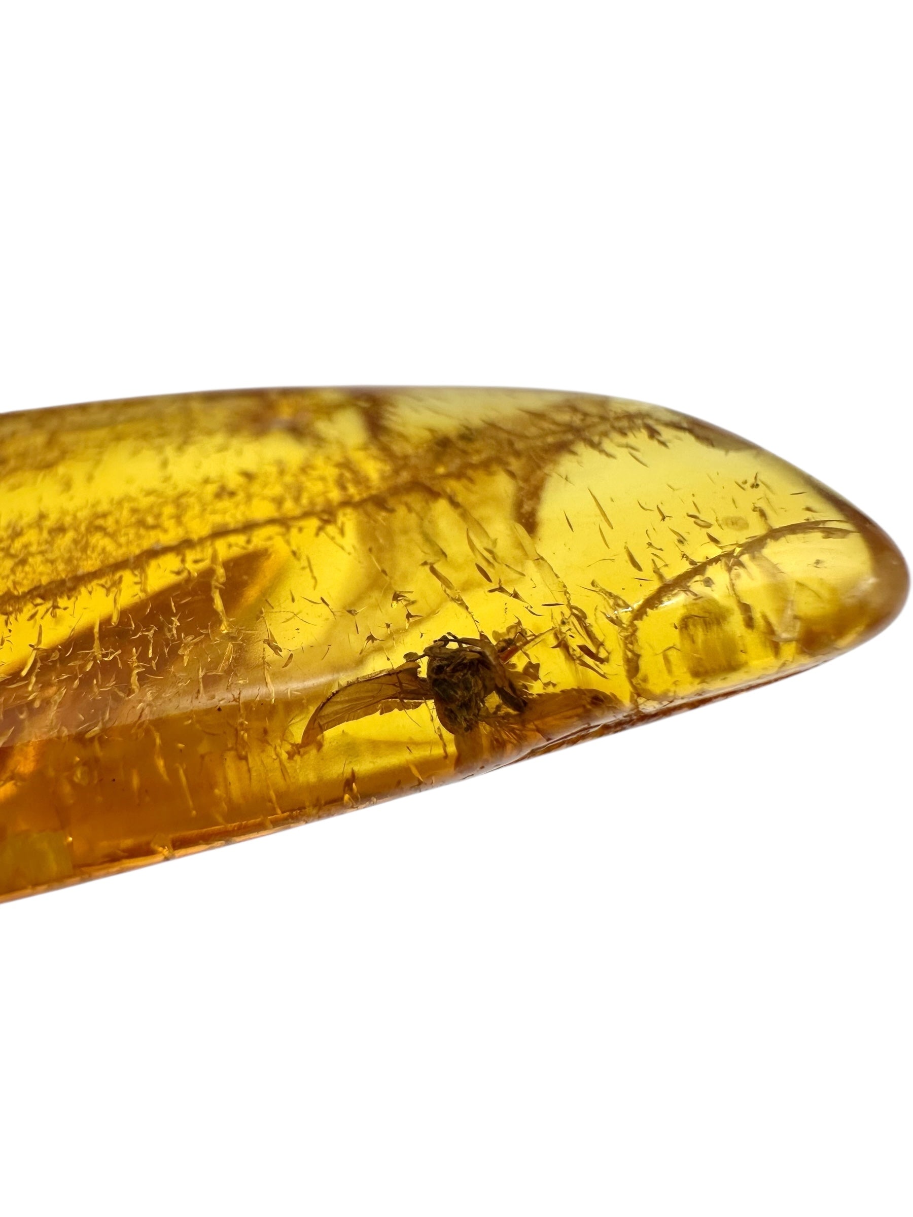 Insect in amber with a drilled hole for hanging 4,8g – Lithuania - IJD08
