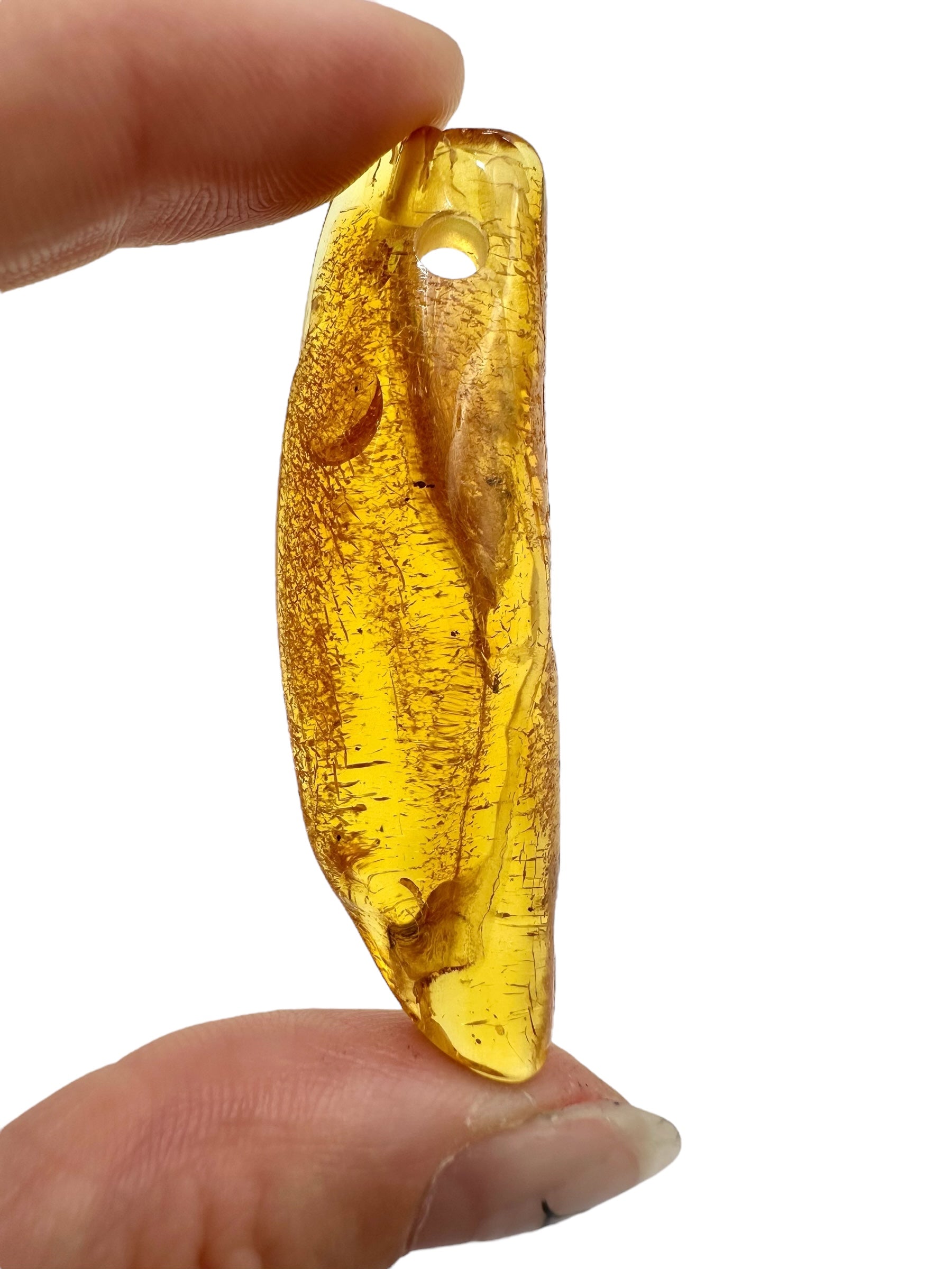 Insect in amber with a drilled hole for hanging 4,8g – Lithuania - IJD08