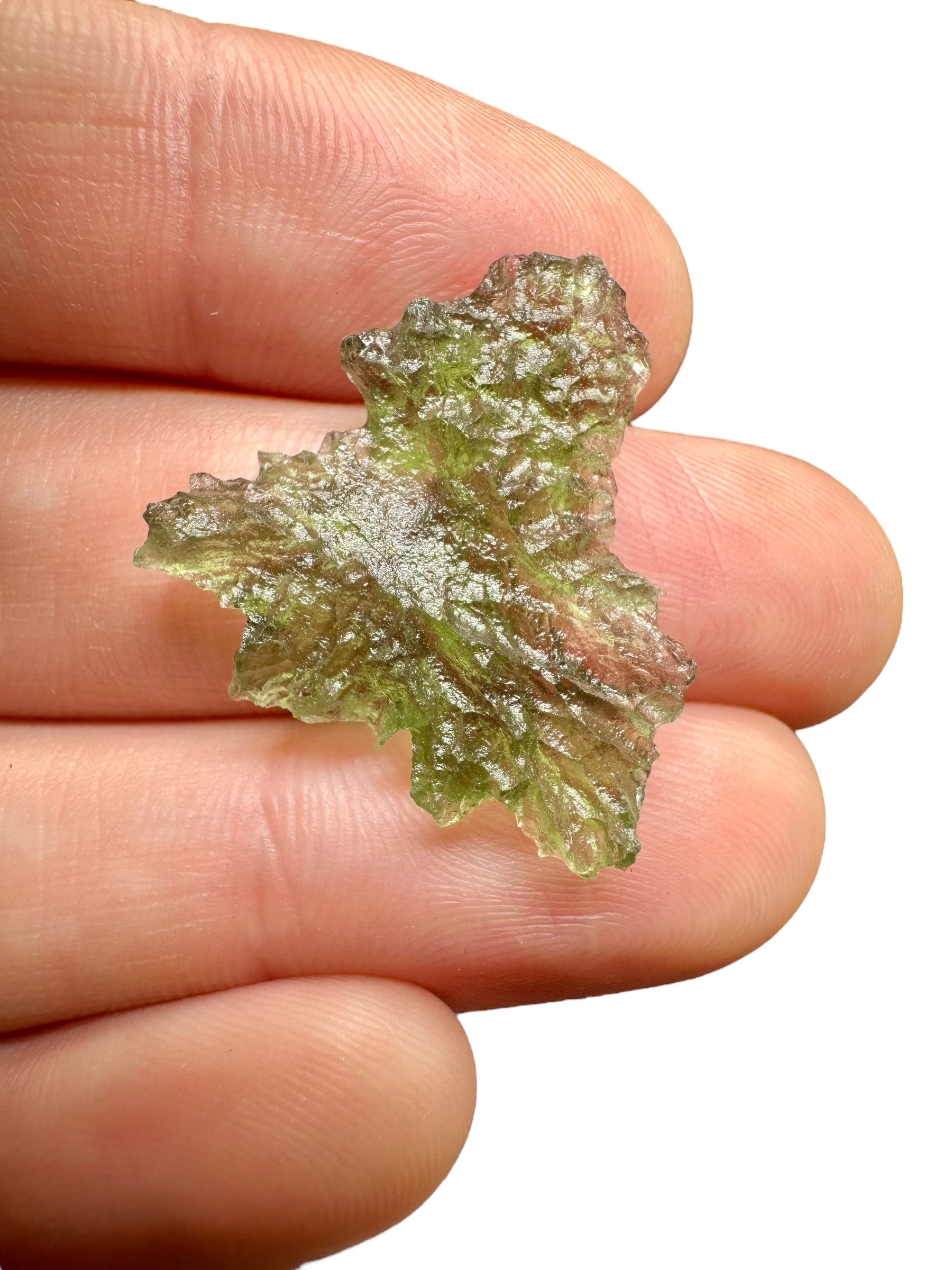 Moldavite – Besednice Jezkovna – 1,5g - BJ245