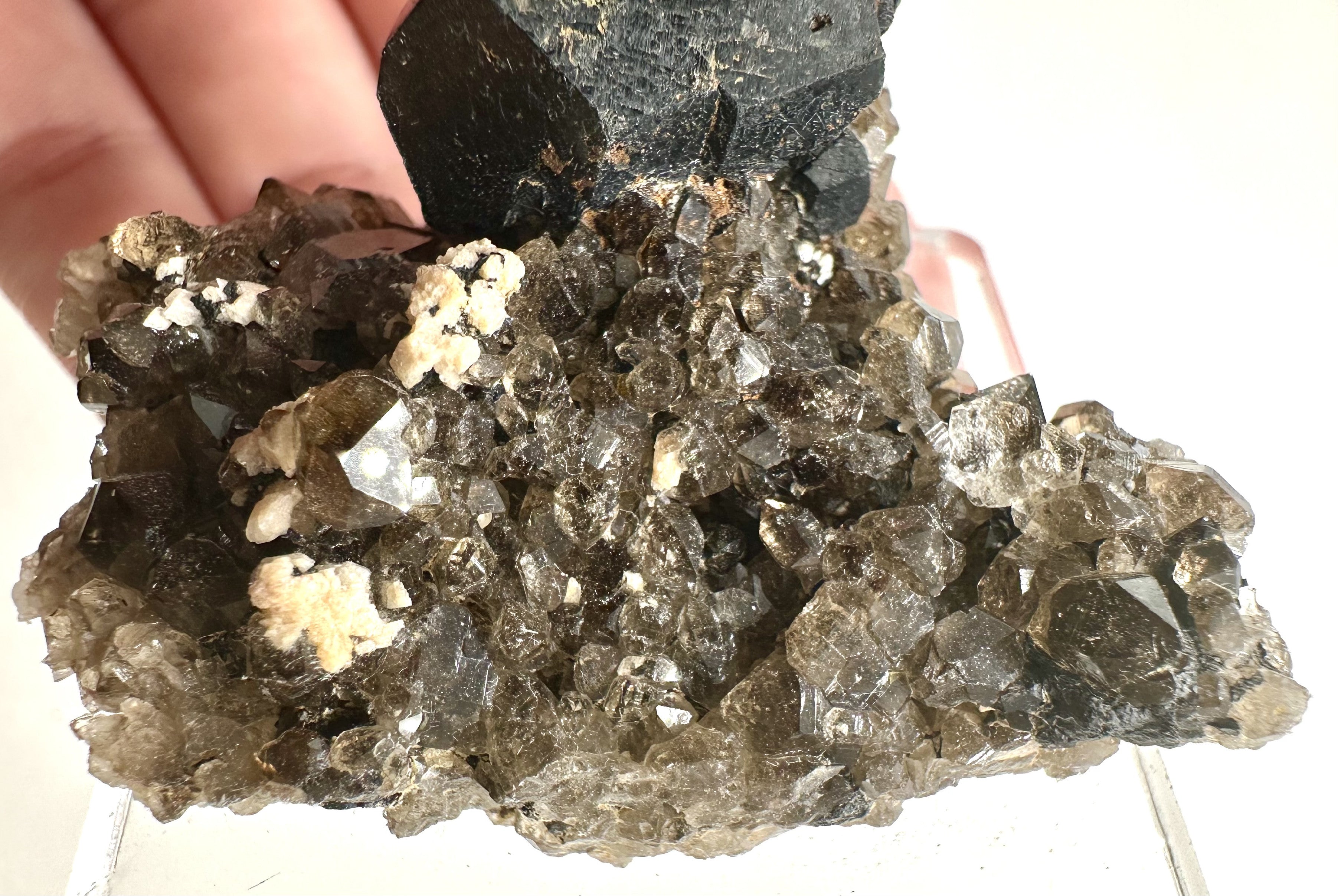 Smoky quartz – Schorl – Erongo Namibia - Z057