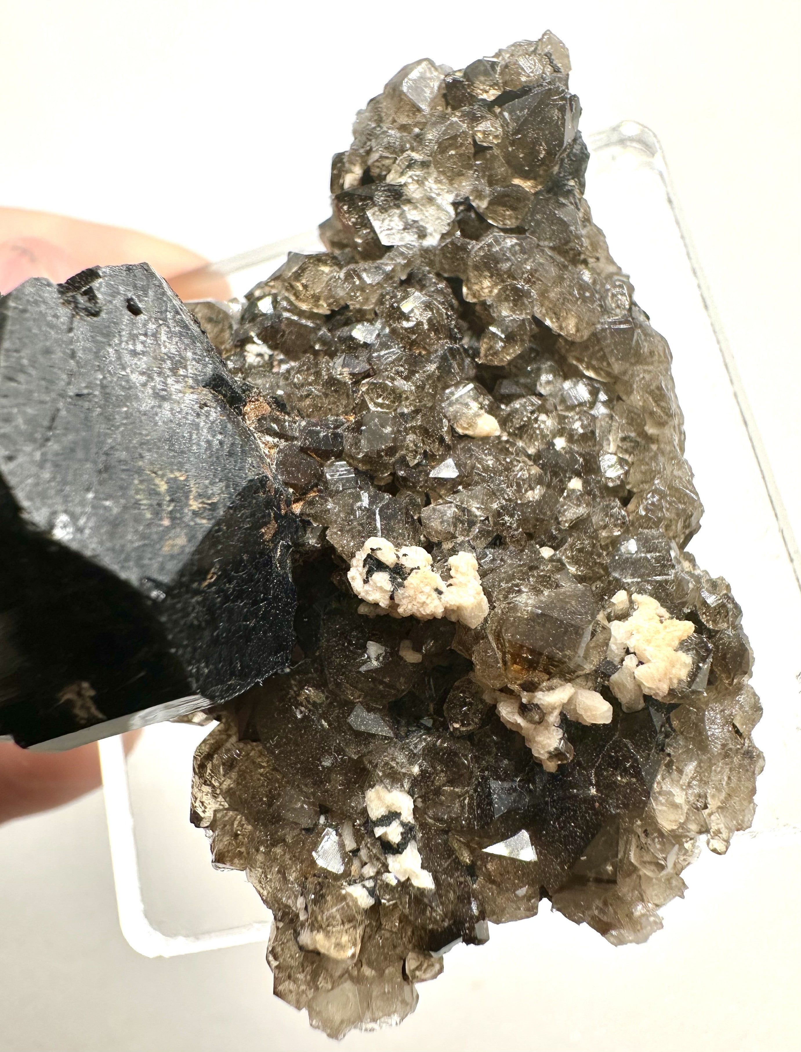Smoky quartz – Schorl – Erongo Namibia - Z057