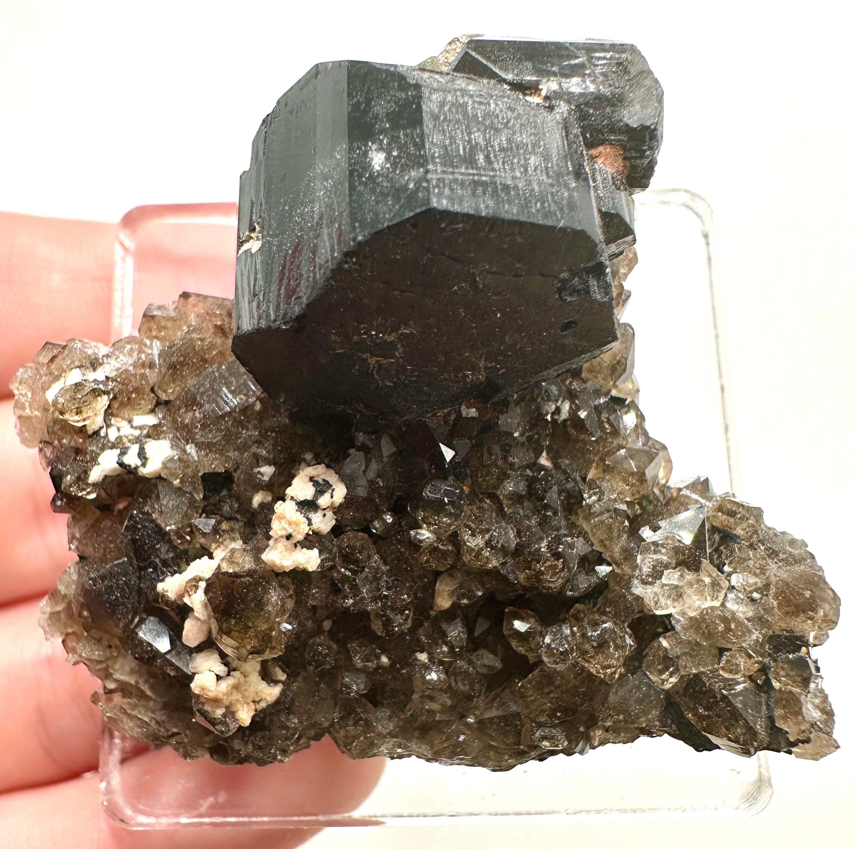 Smoky quartz – Schorl – Erongo Namibia