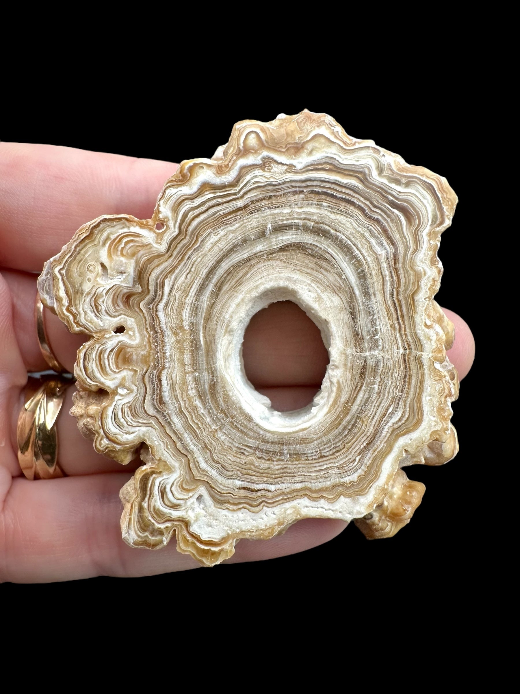Cave calcite – Morocco - KAL011