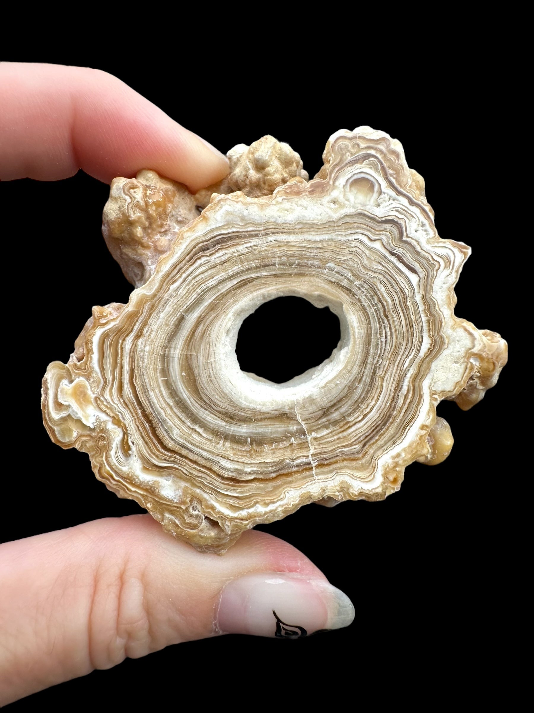 Cave calcite – Morocco - KAL011