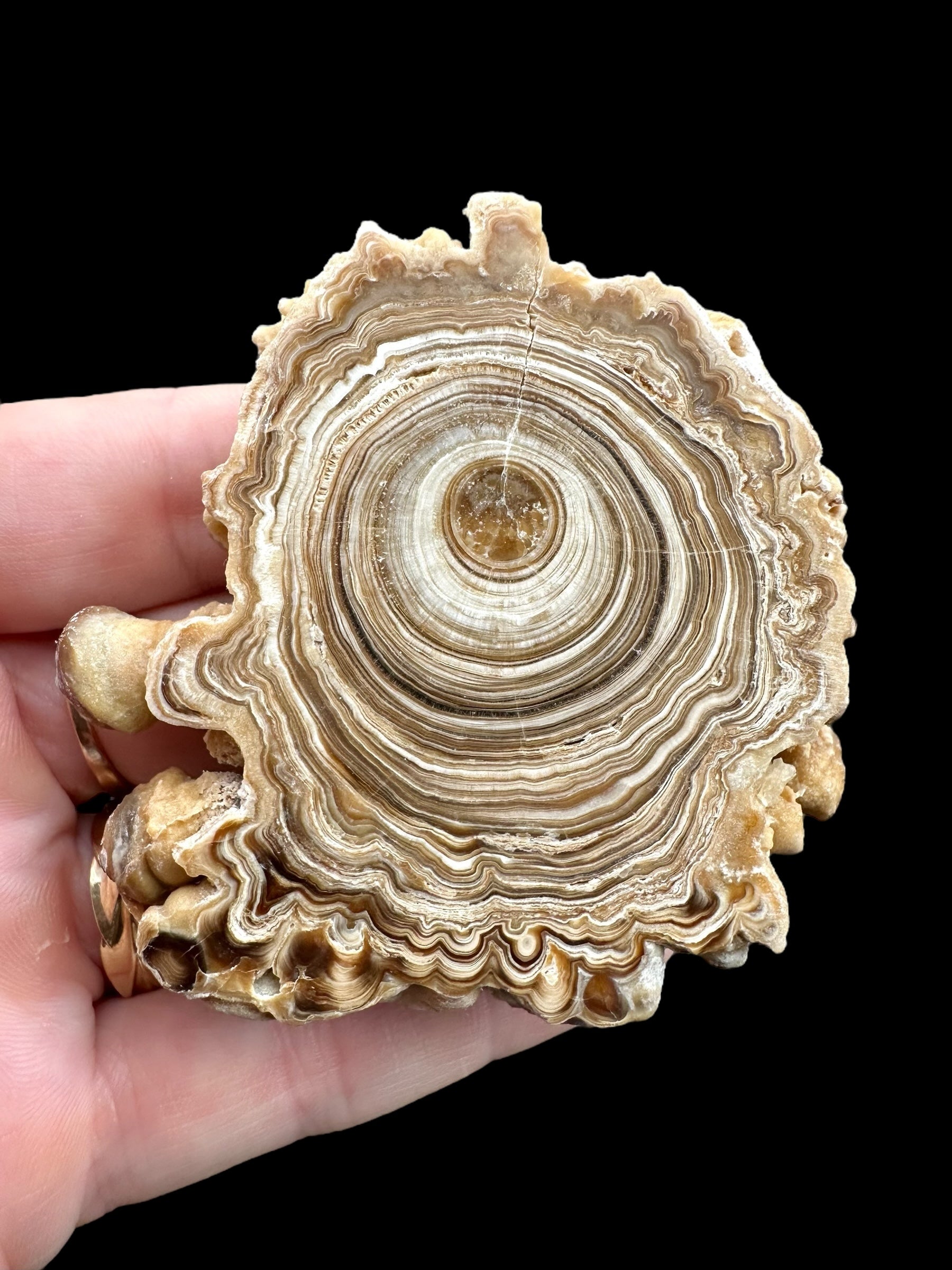 Cave calcite – Morocco - KAL012