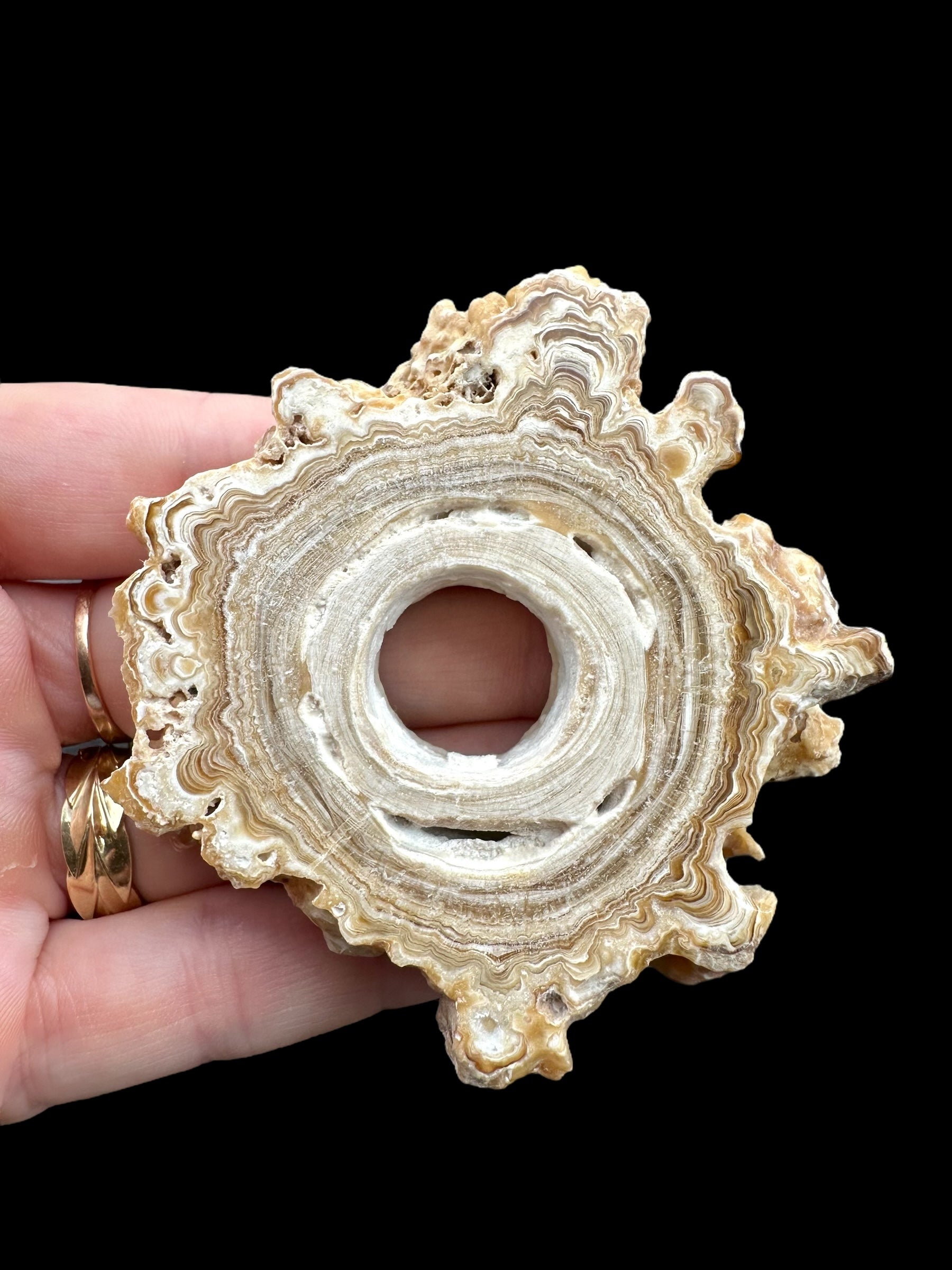 Cave calcite – Morocco - KAL013