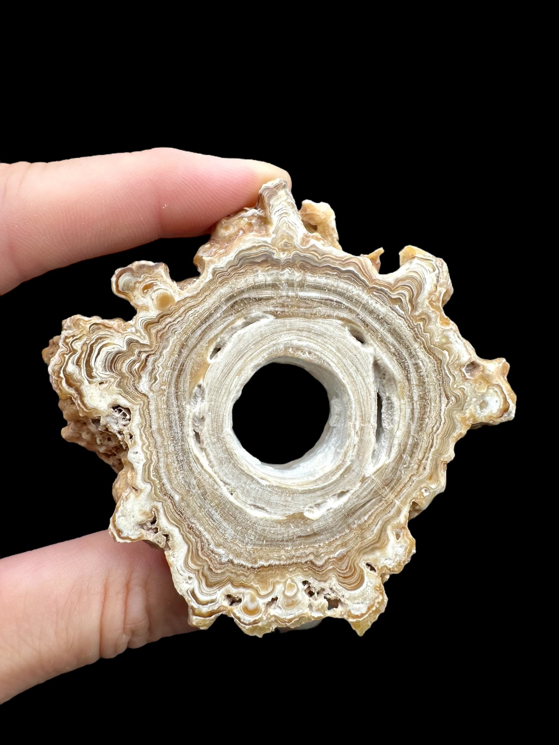 Cave calcite – Morocco - KAL013