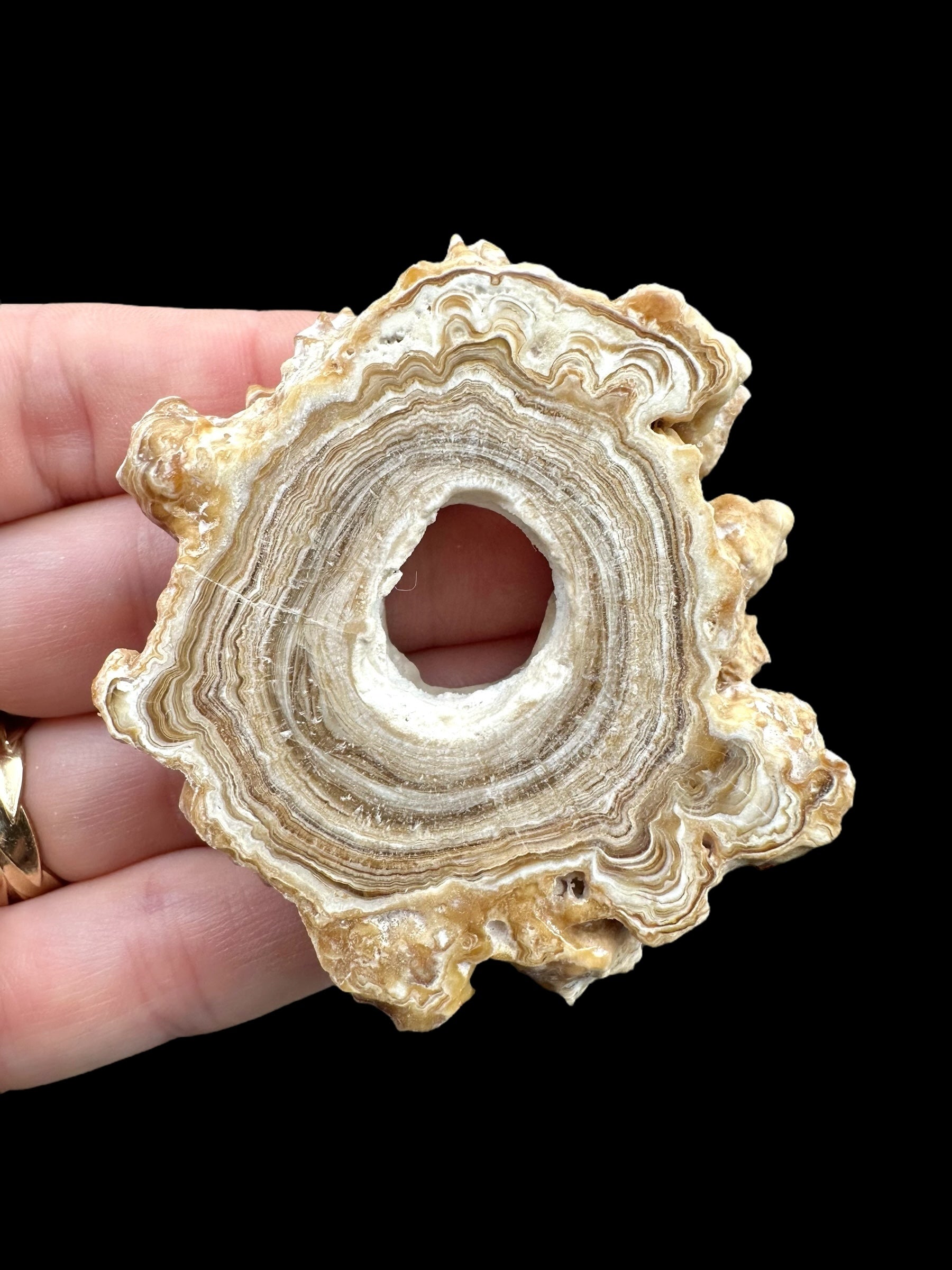 Cave calcite – Morocco - KAL015