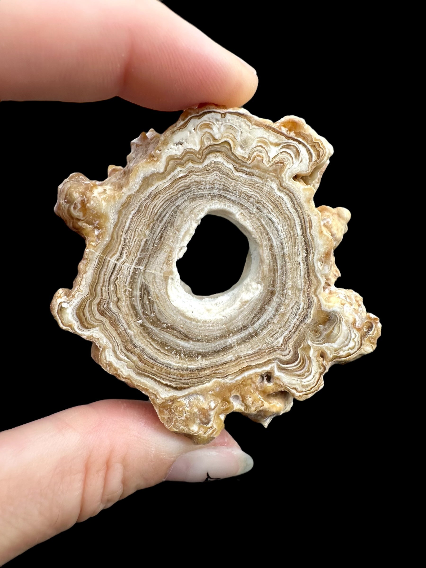Cave calcite – Morocco - KAL015