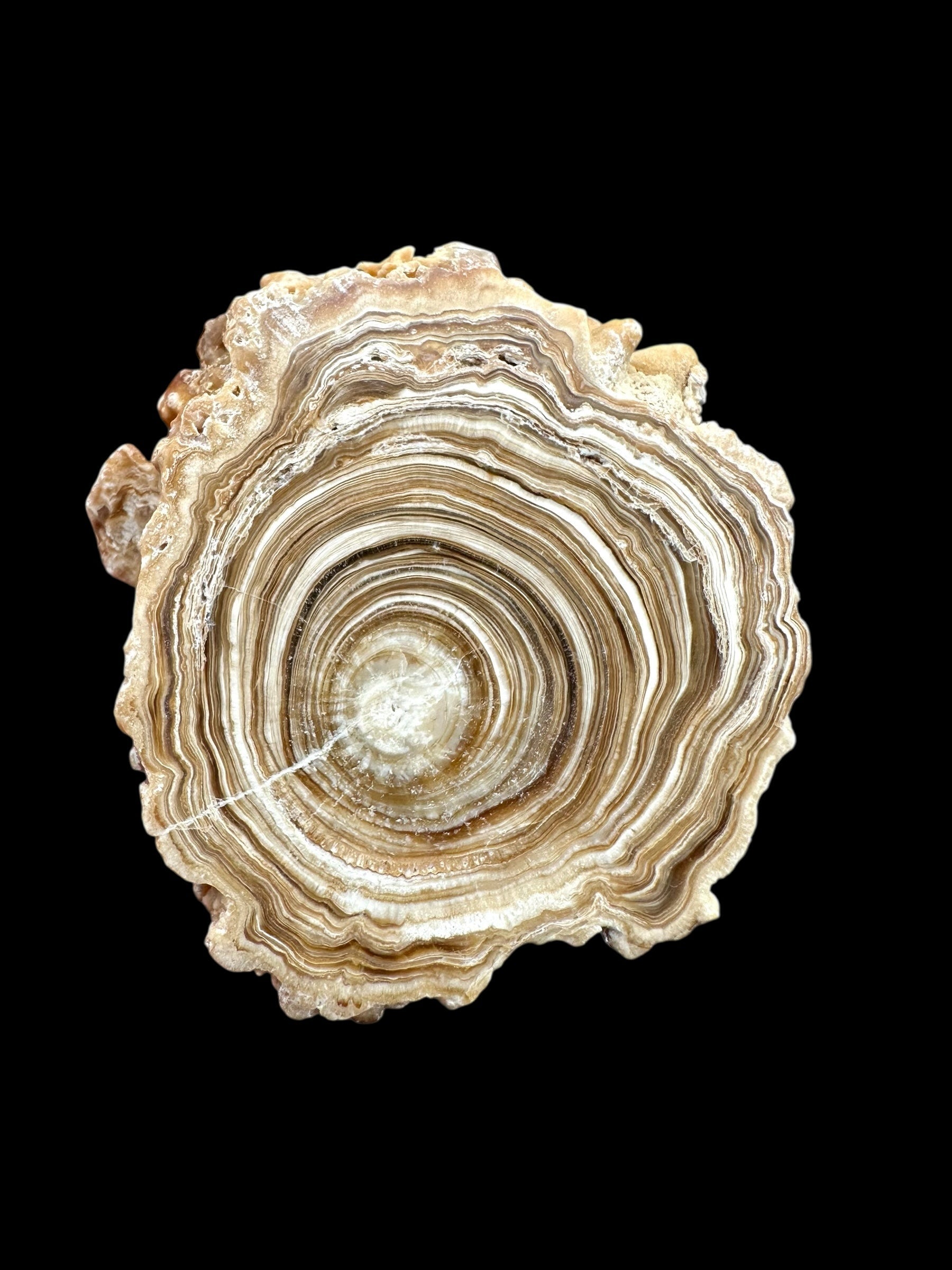 Cave calcite – Morocco - KAL017