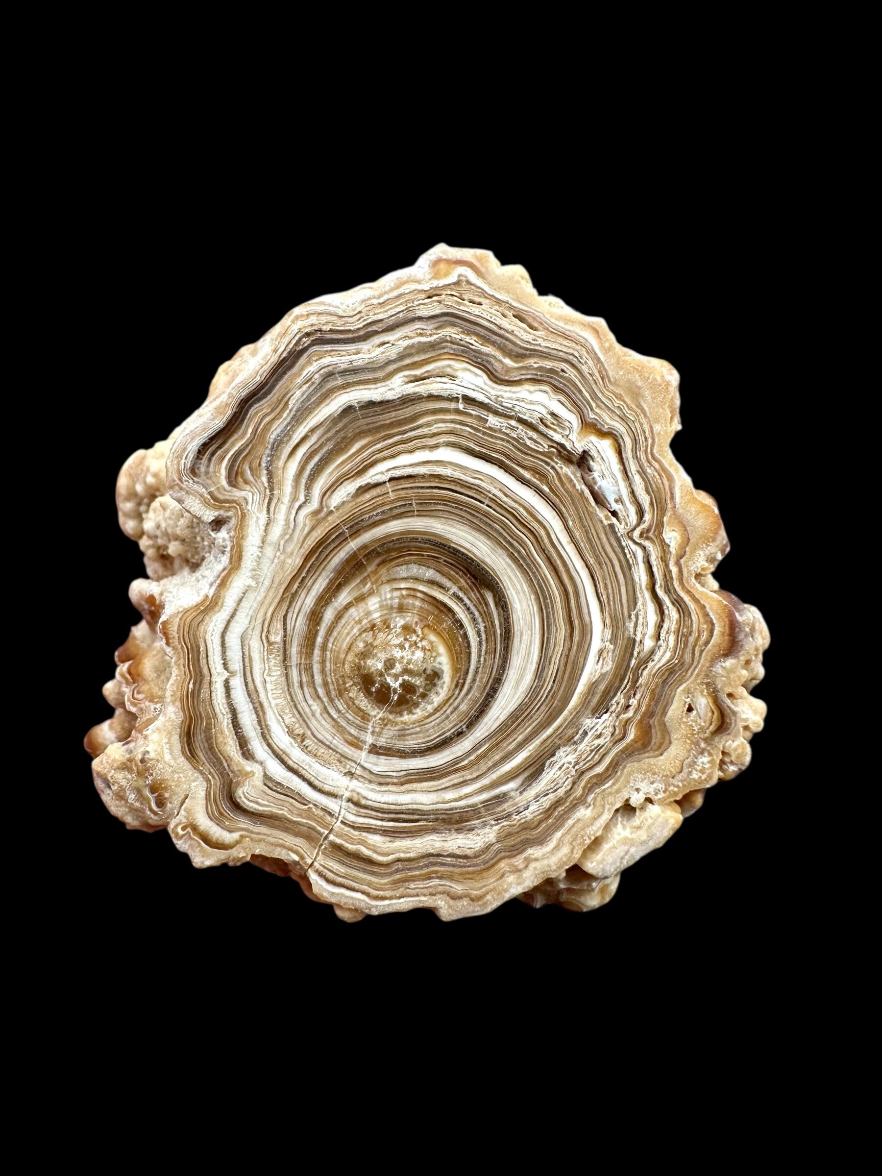 Cave calcite – Morocco