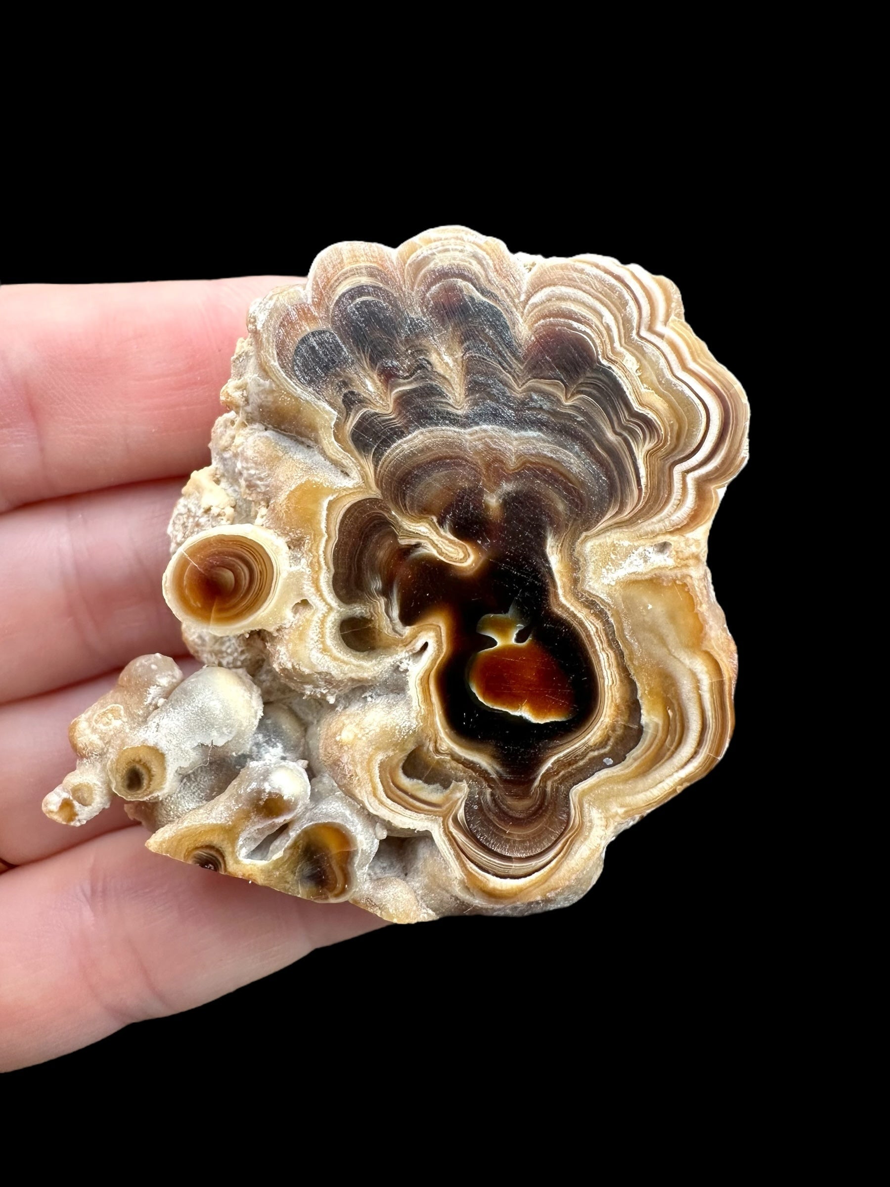 Cave calcite – Morocco - KAL018
