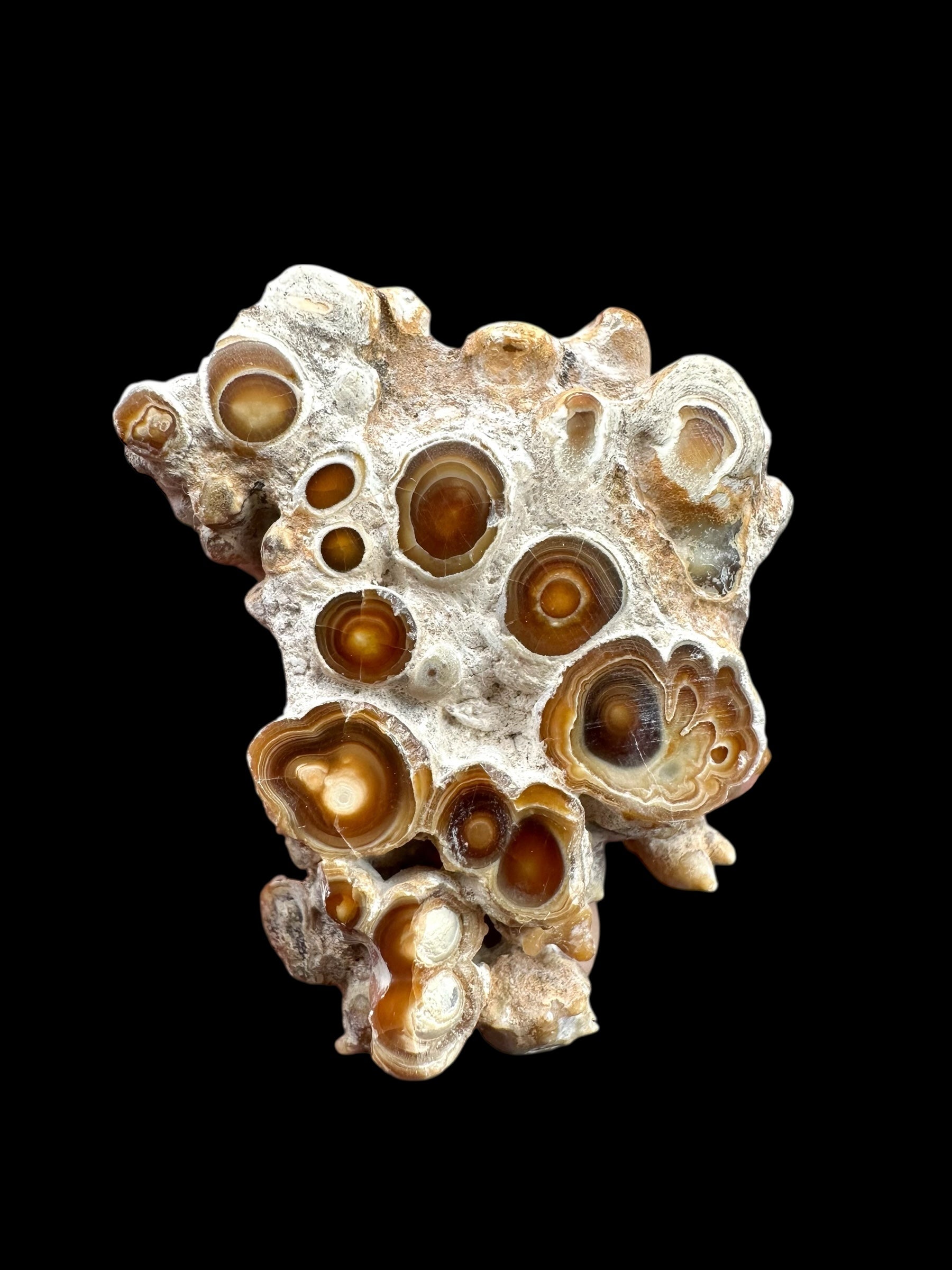 Cave calcite – Morocco - KAL019