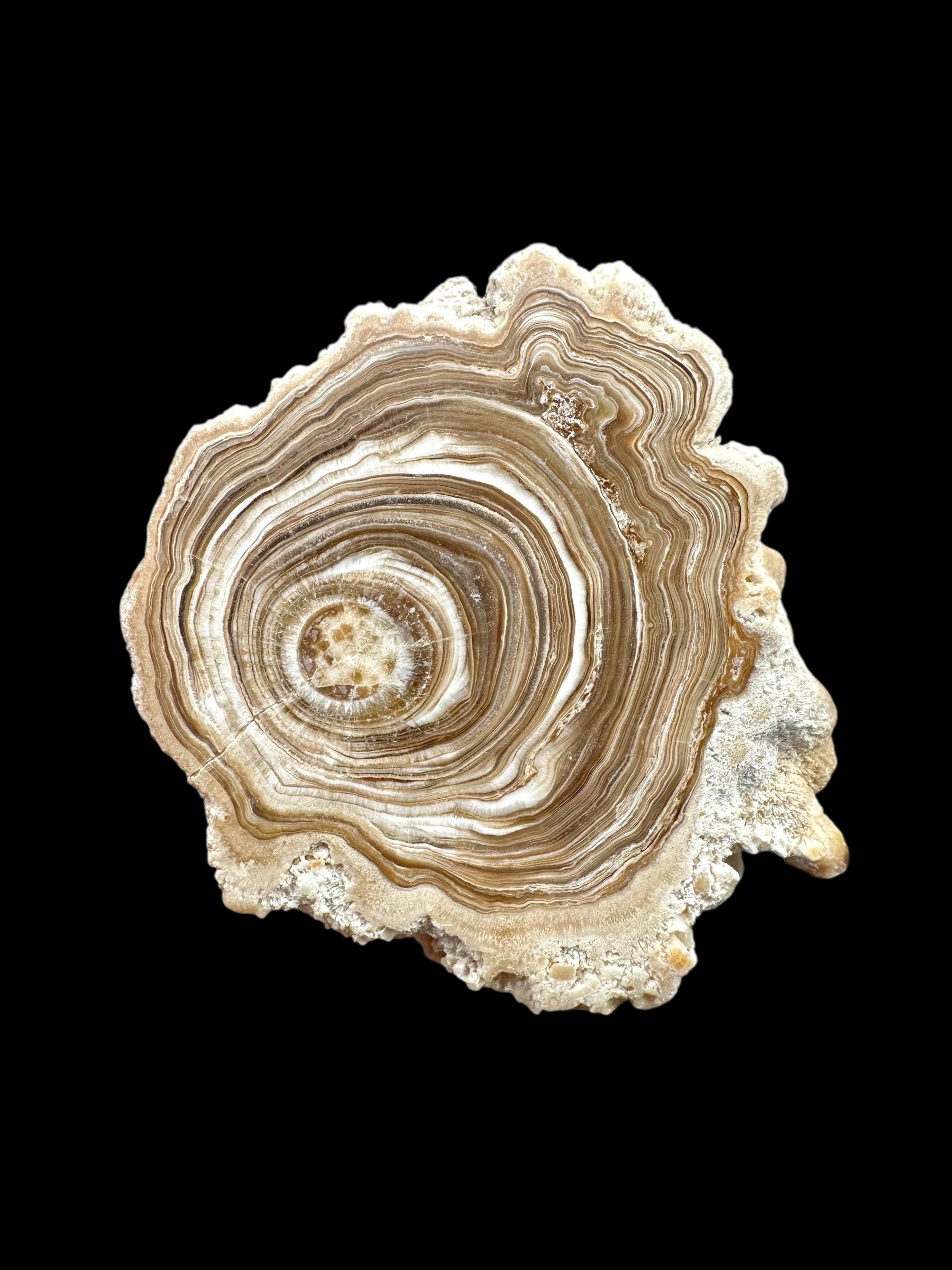 Cave calcite – Morocco - KAL020