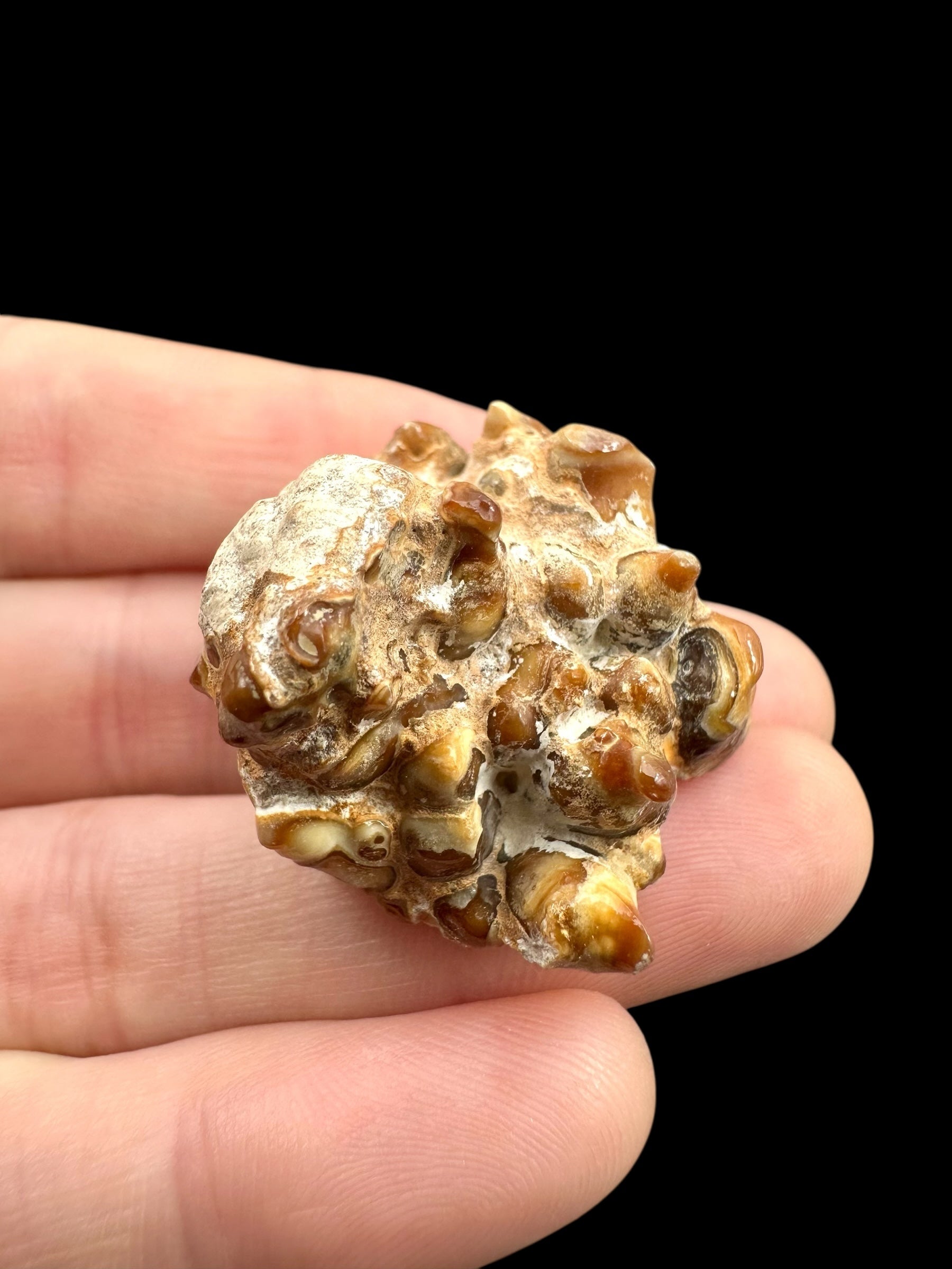 Cave calcite – Morocco - KAL021
