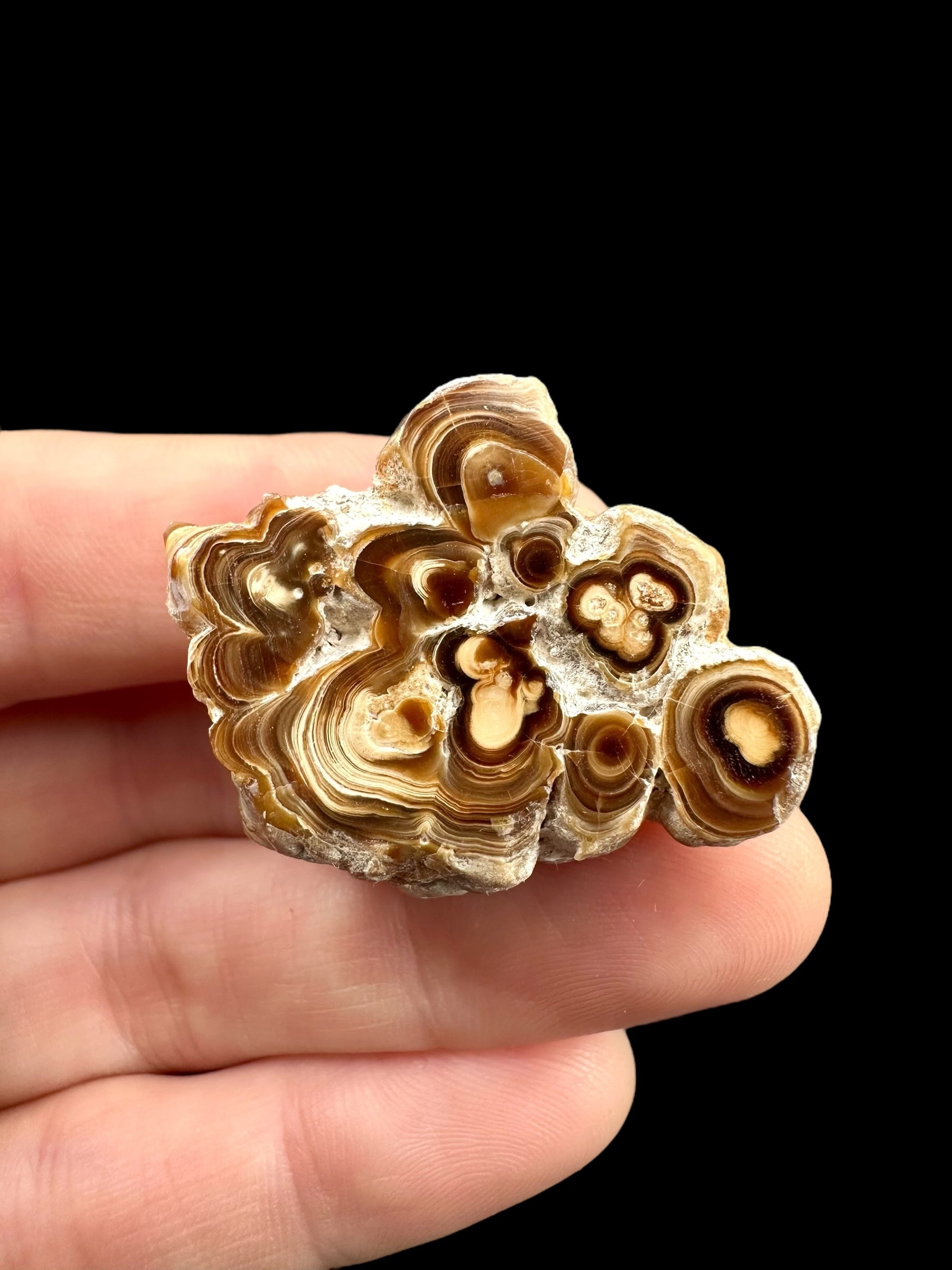 Cave calcite – Morocco