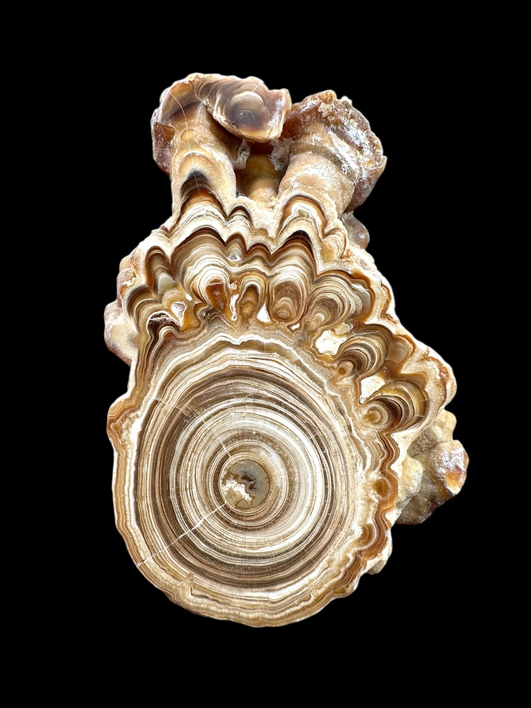 Cave calcite – Morocco - KAL022
