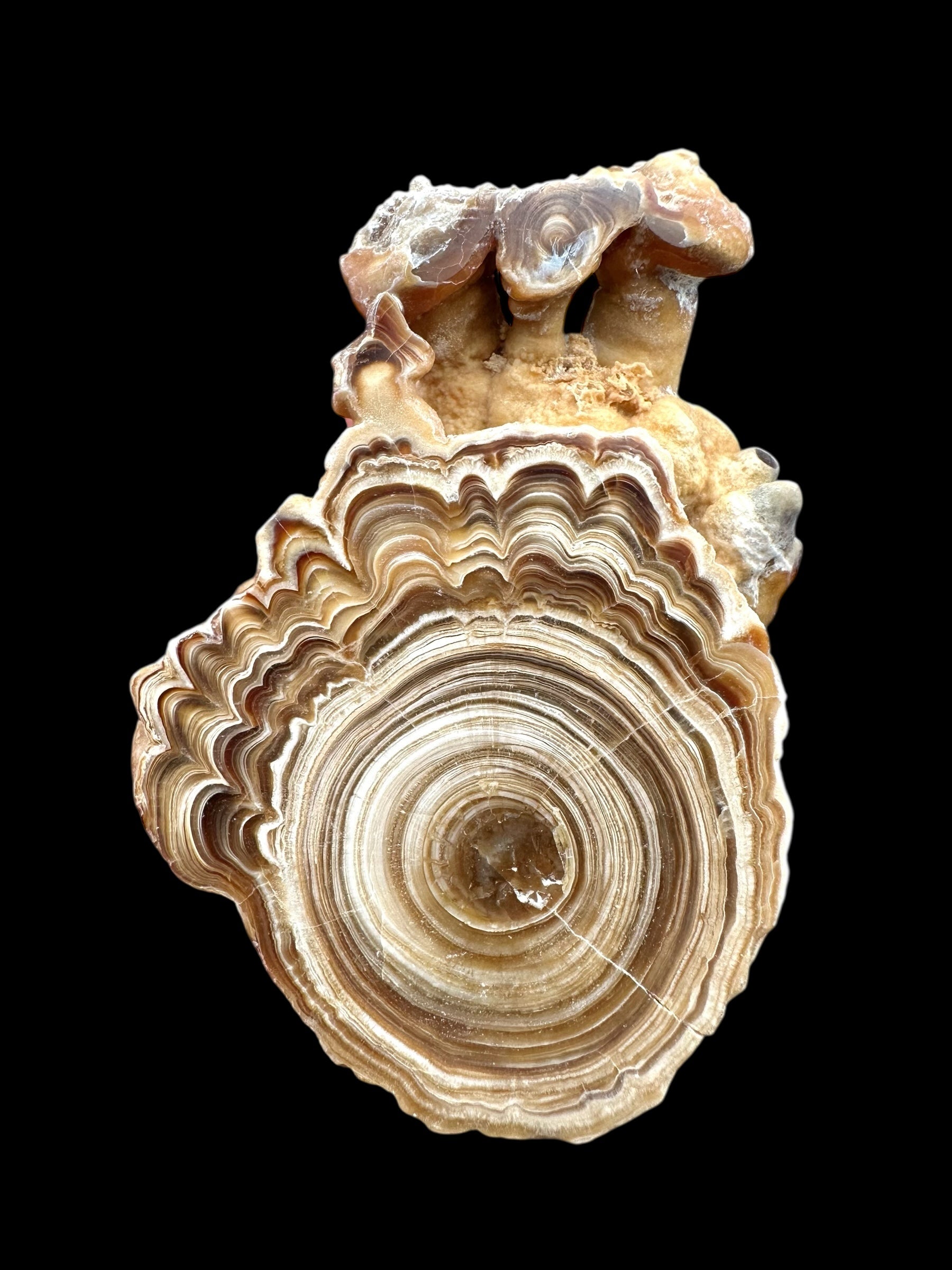 Cave calcite – Morocco