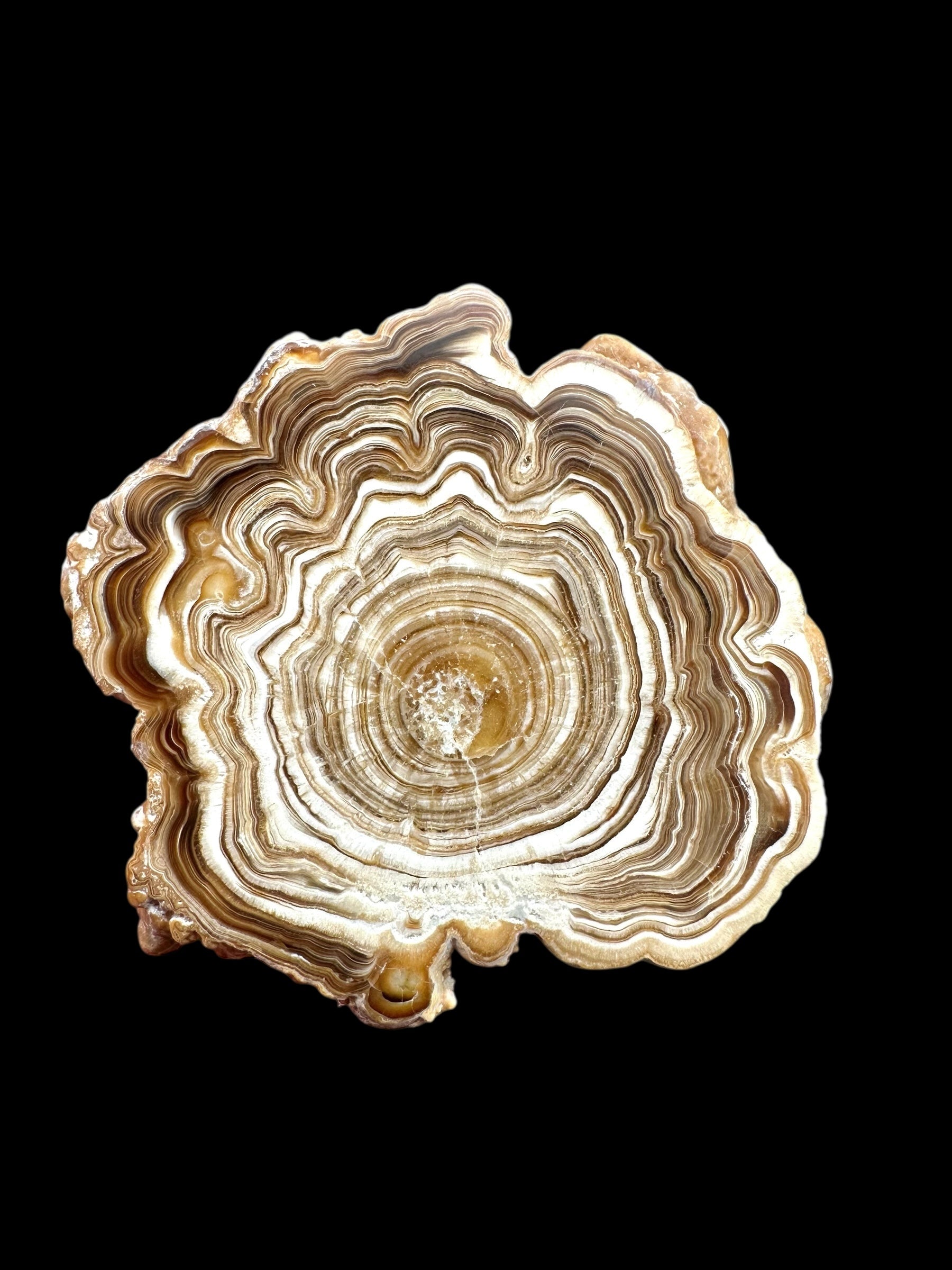 Cave calcite – Morocco - KAL024