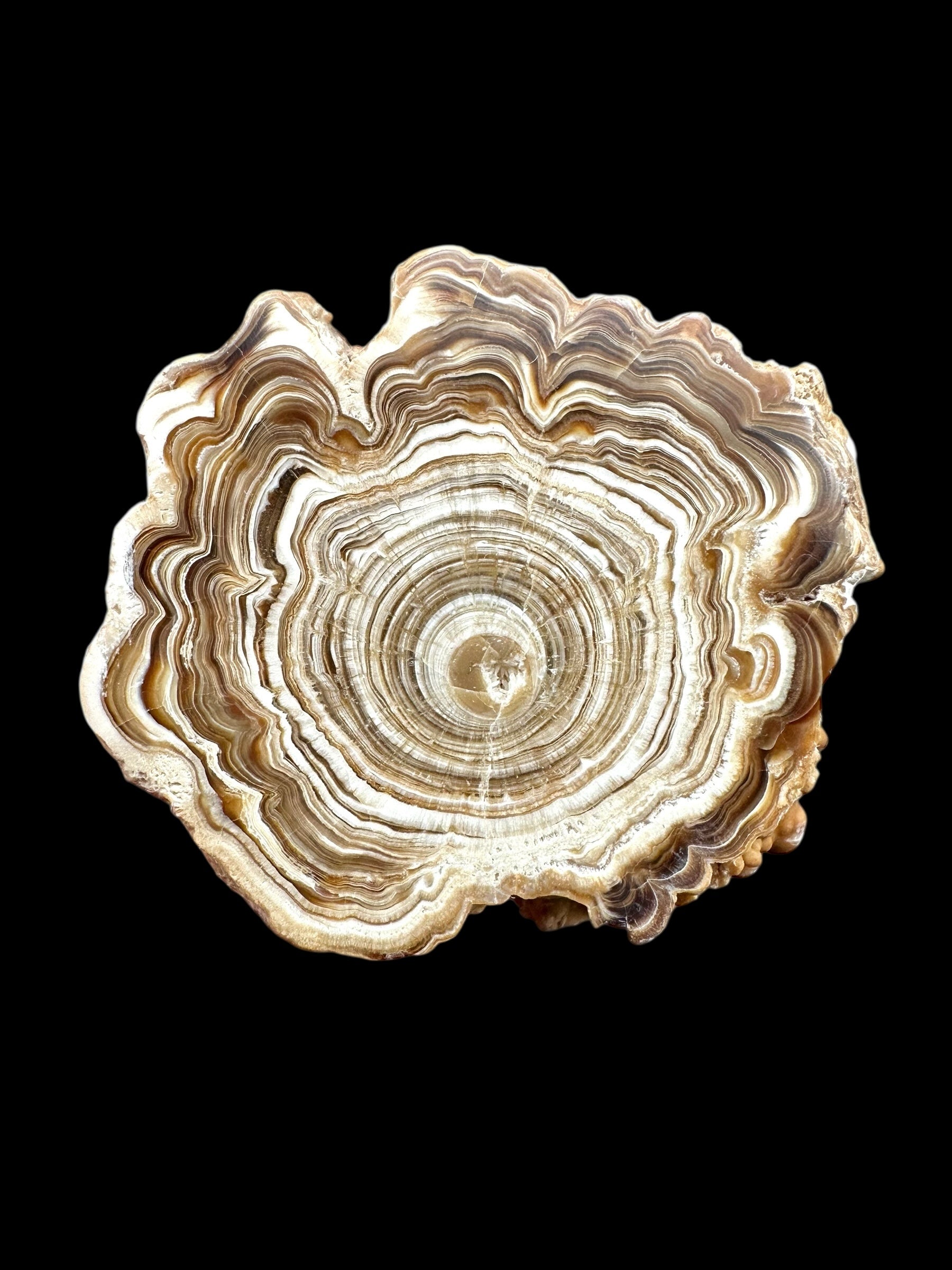 Cave calcite – Morocco