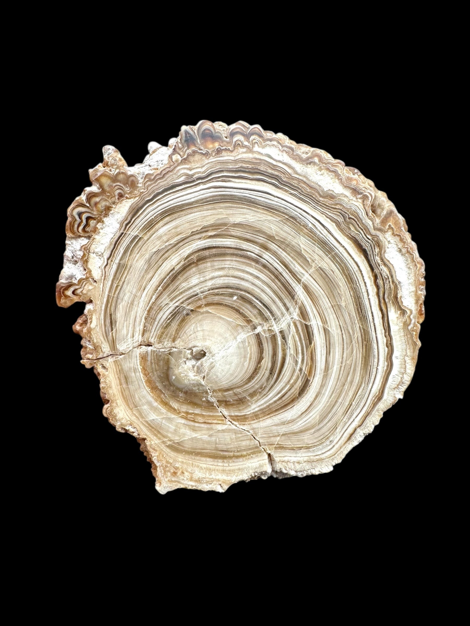 Cave calcite – Morocco - KAL026