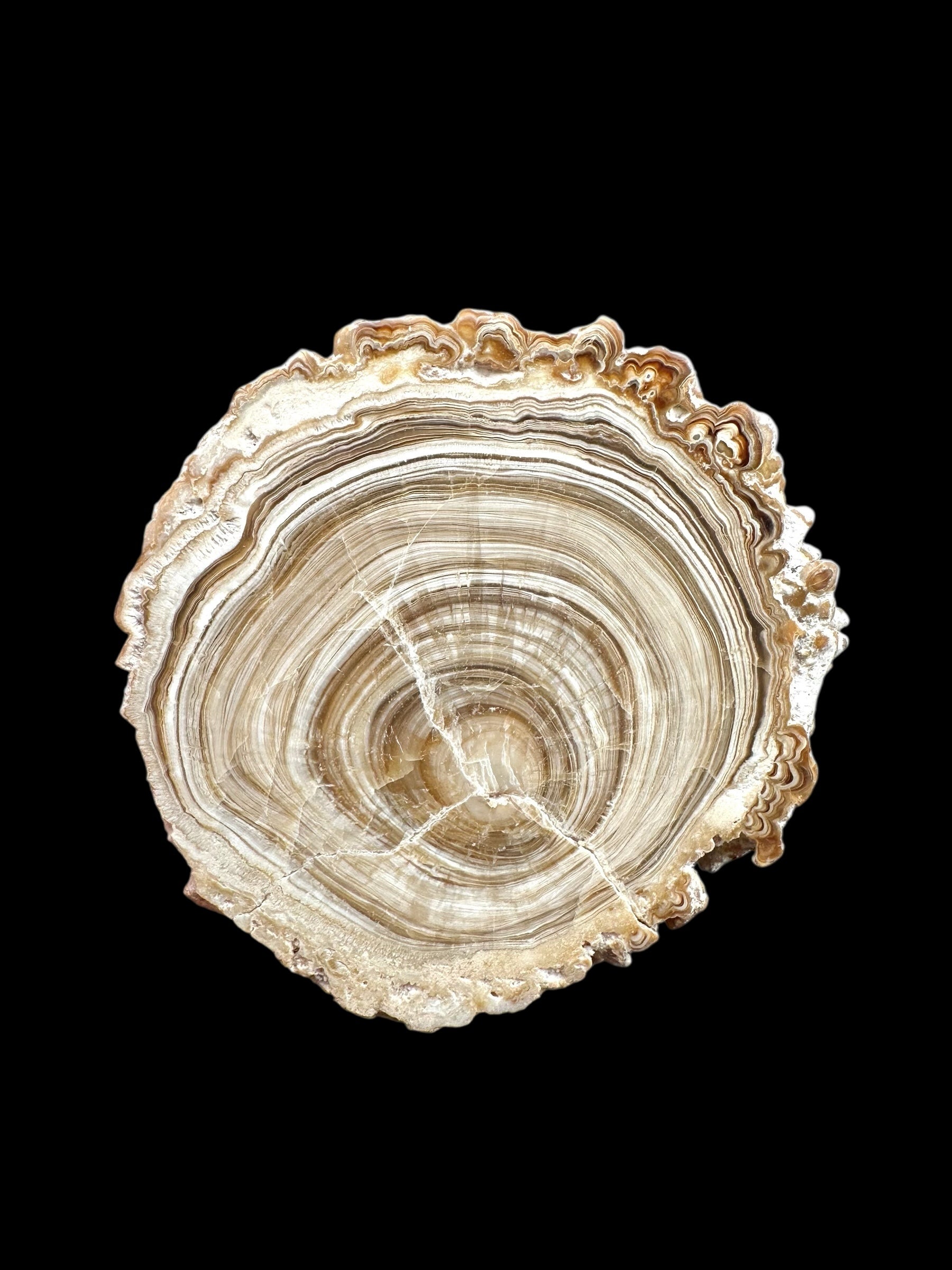 Cave calcite – Morocco