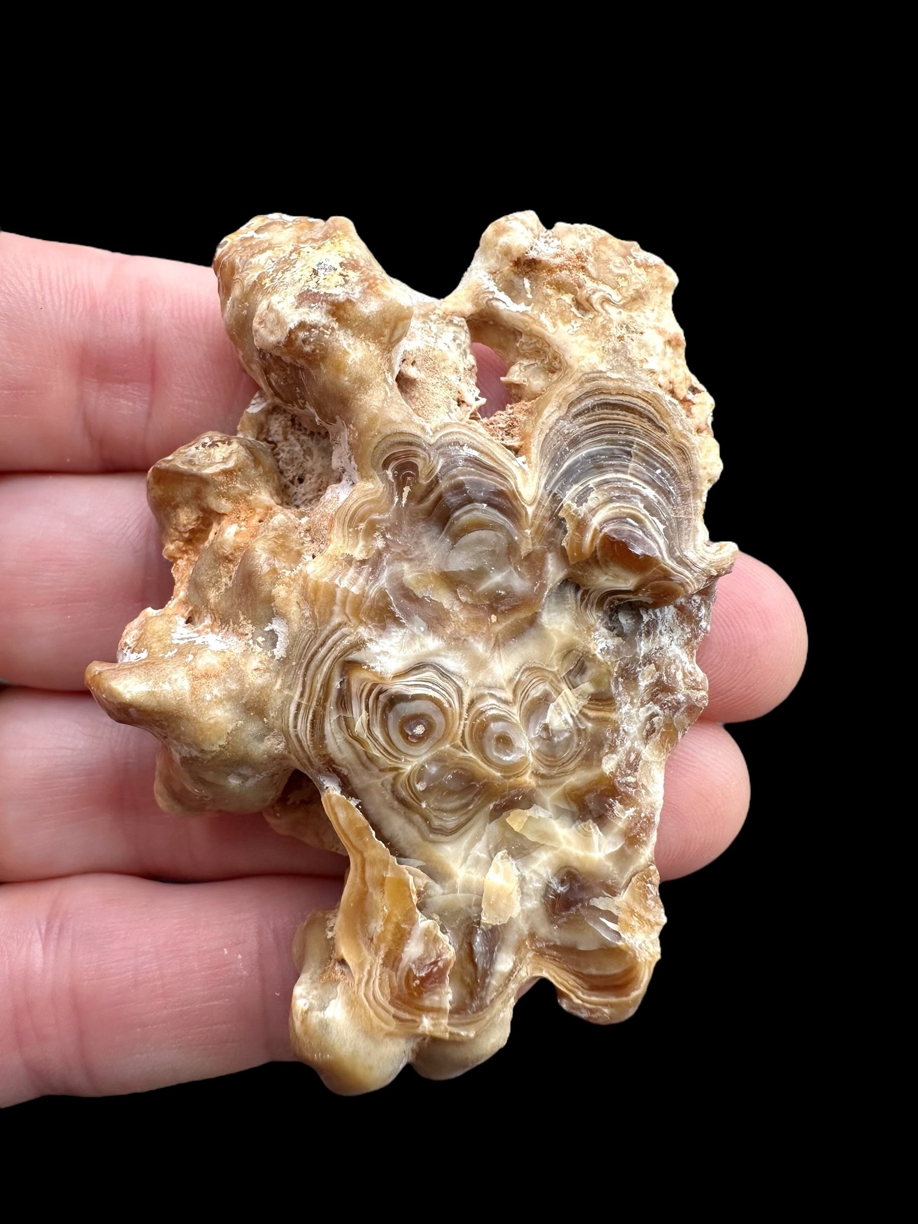 Cave calcite – Morocco - KAL027