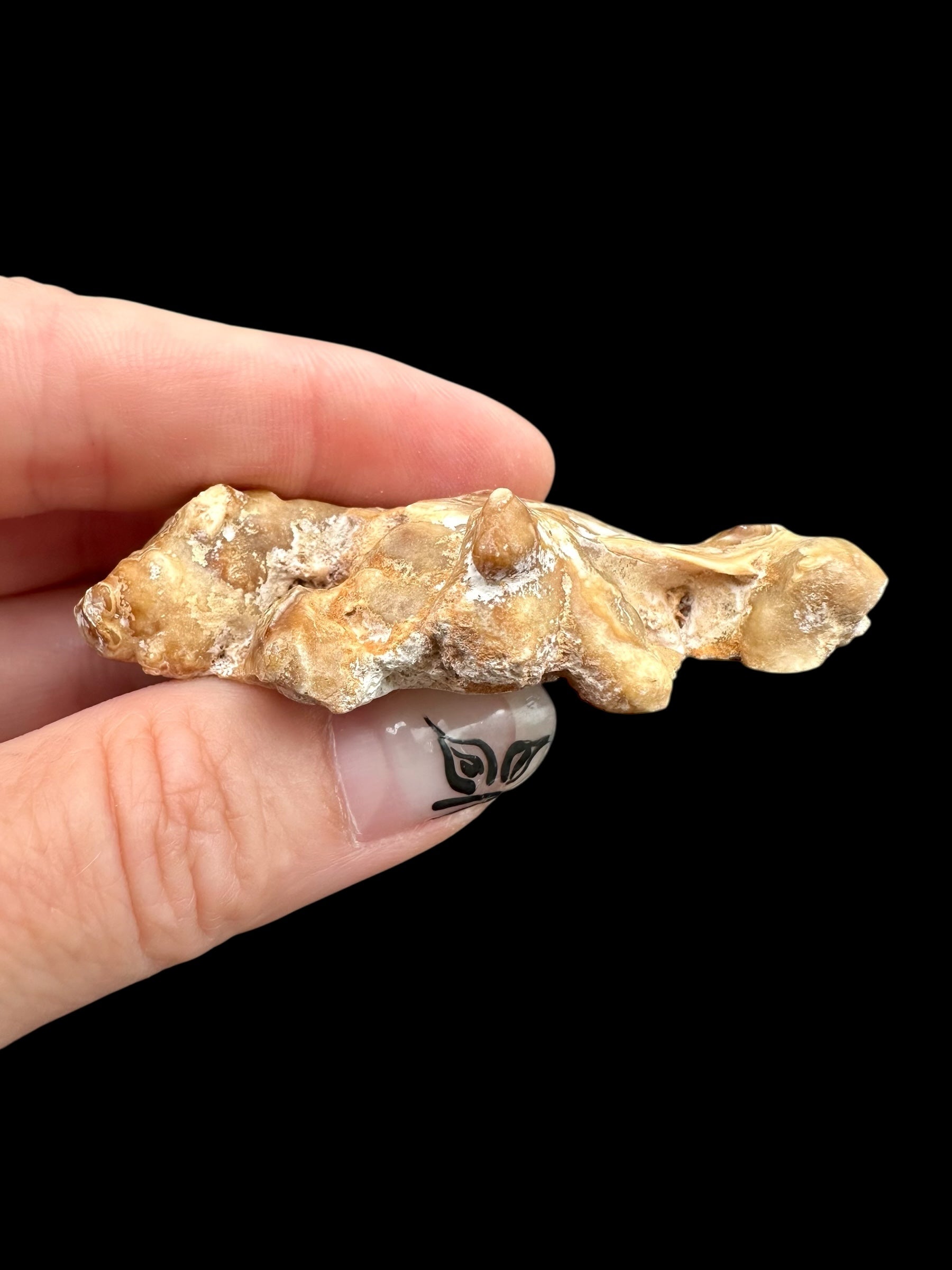 Cave calcite – Morocco - KAL027