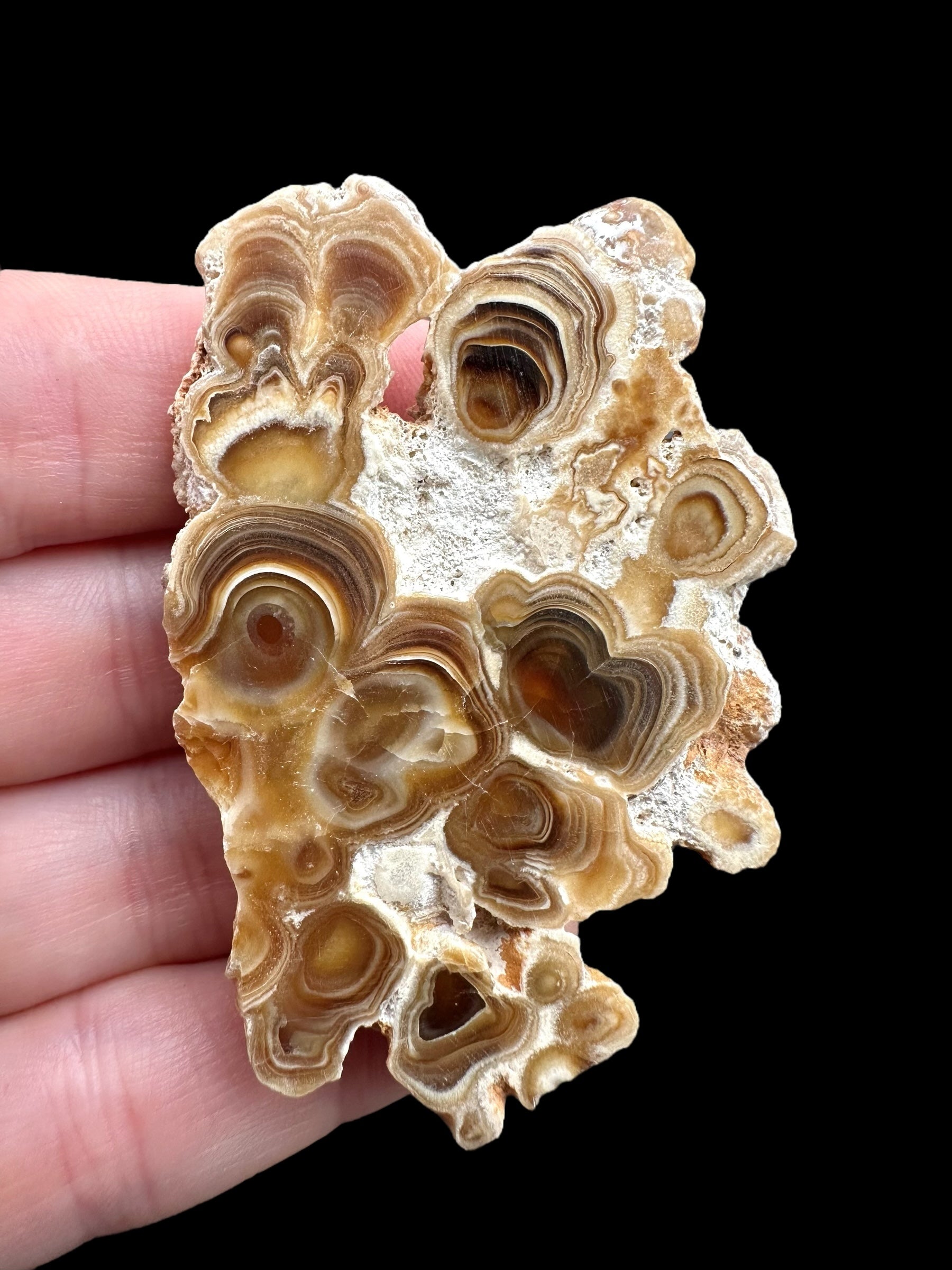 Cave calcite – Morocco