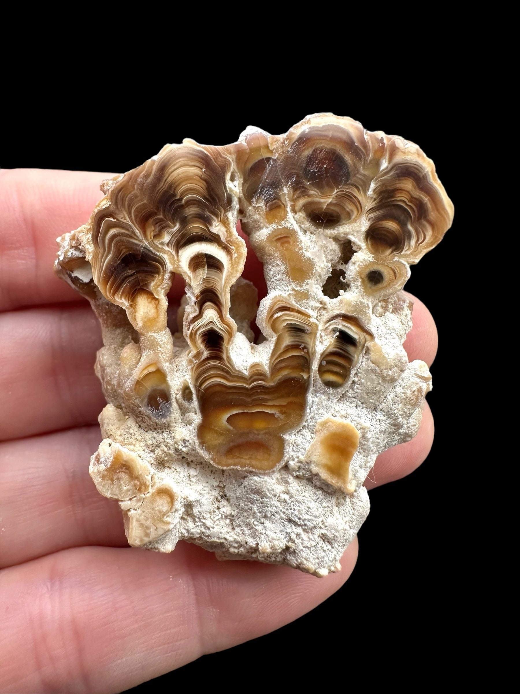 Cave calcite – Morocco