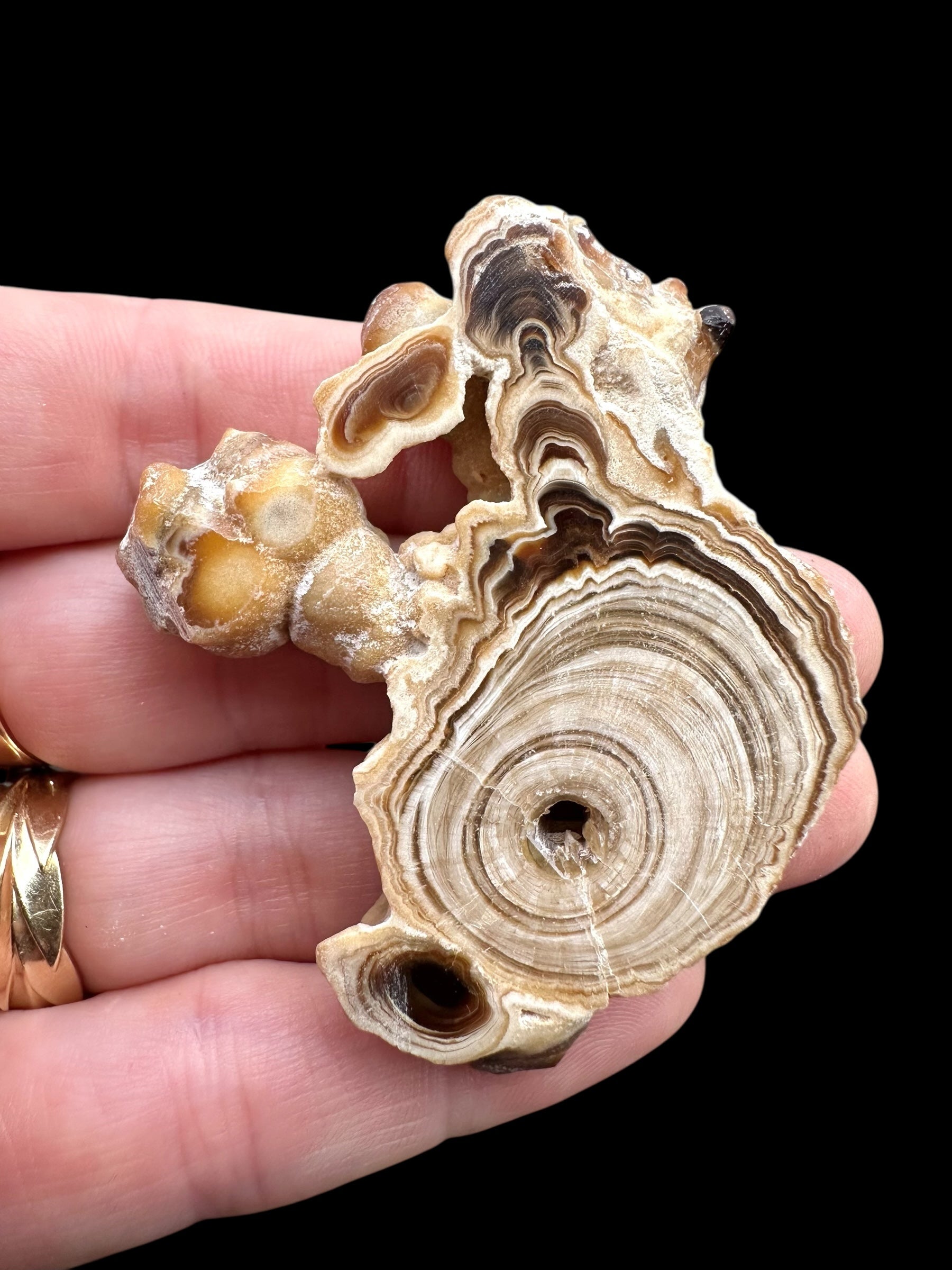 Cave calcite – Morocco - KAL029