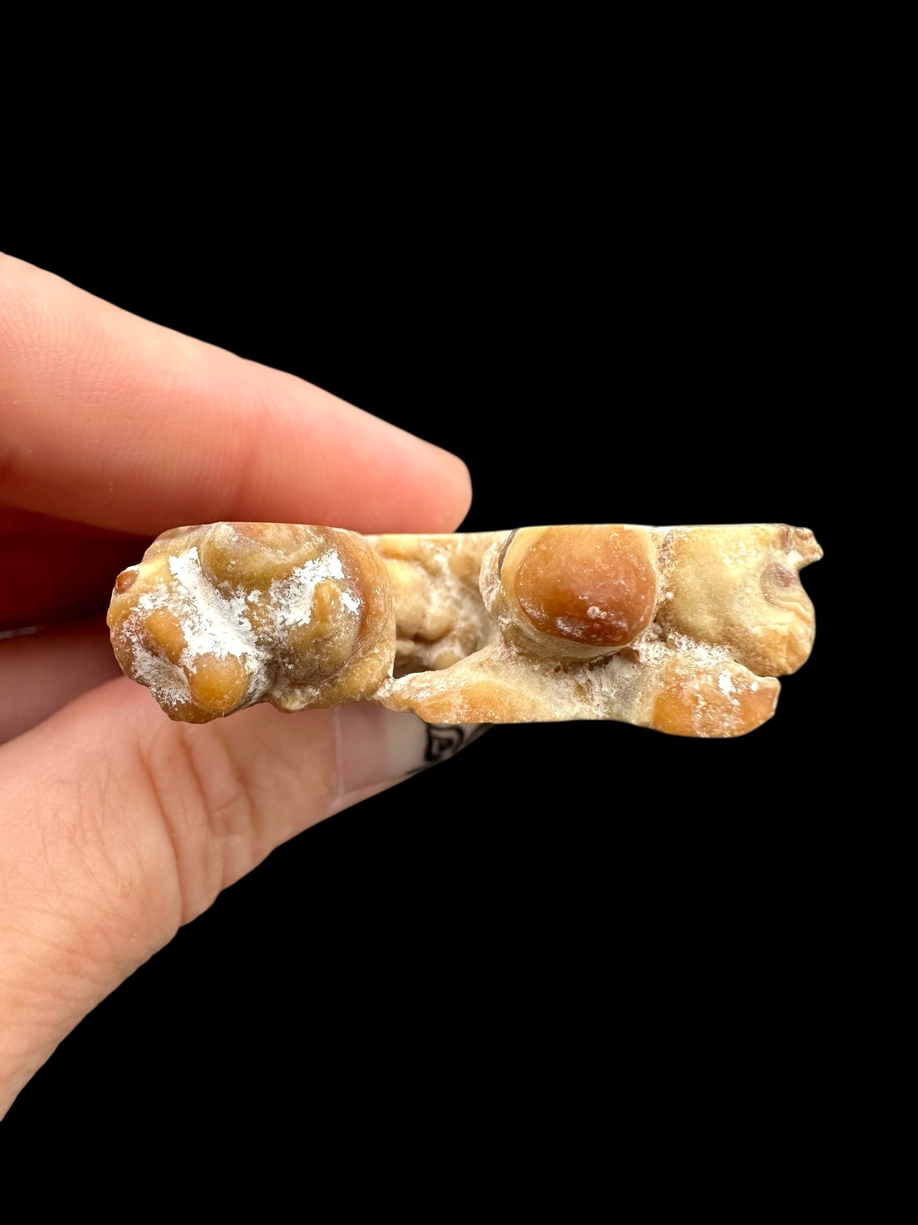 Cave calcite – Morocco - KAL029