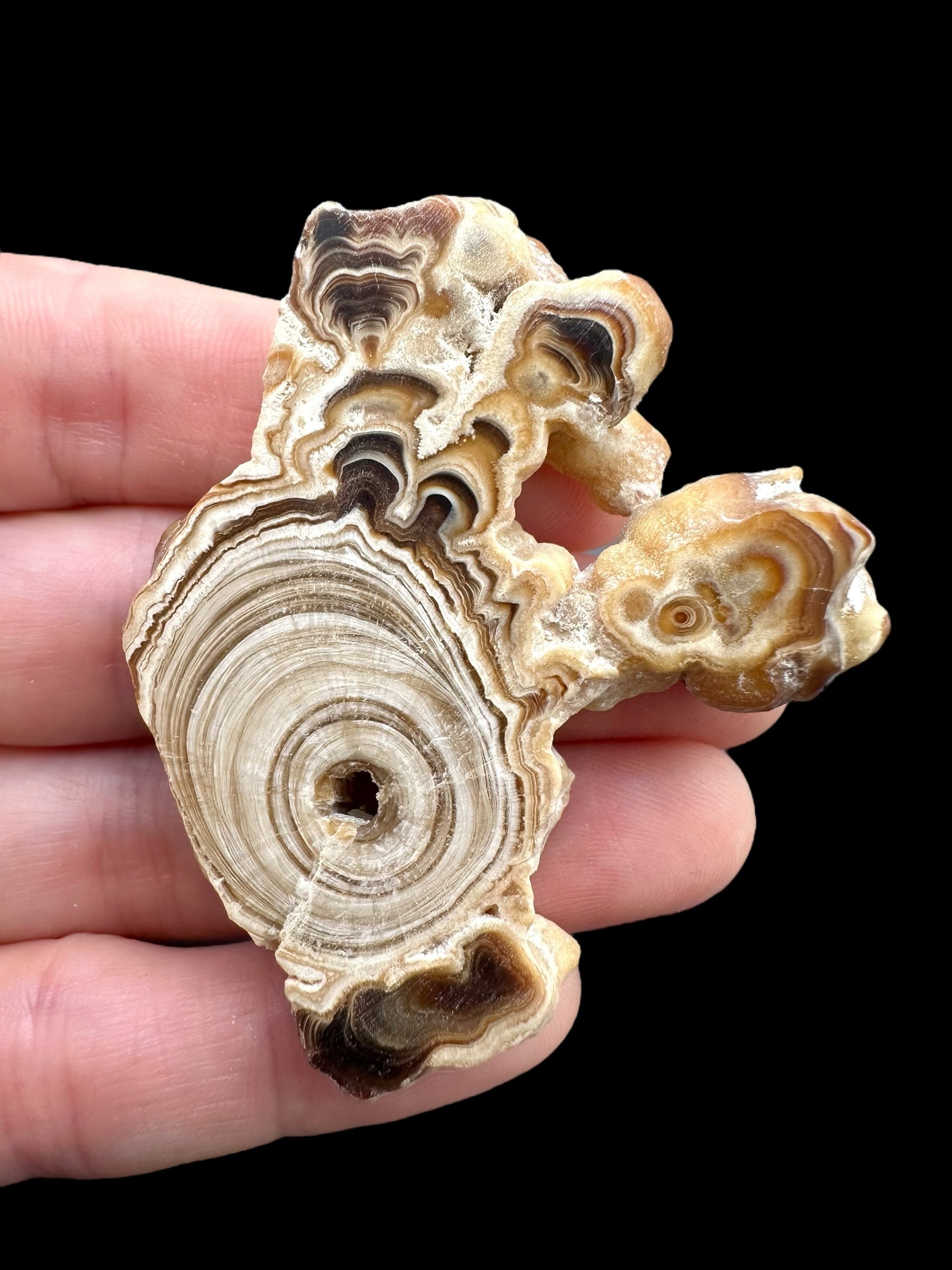 Cave calcite – Morocco
