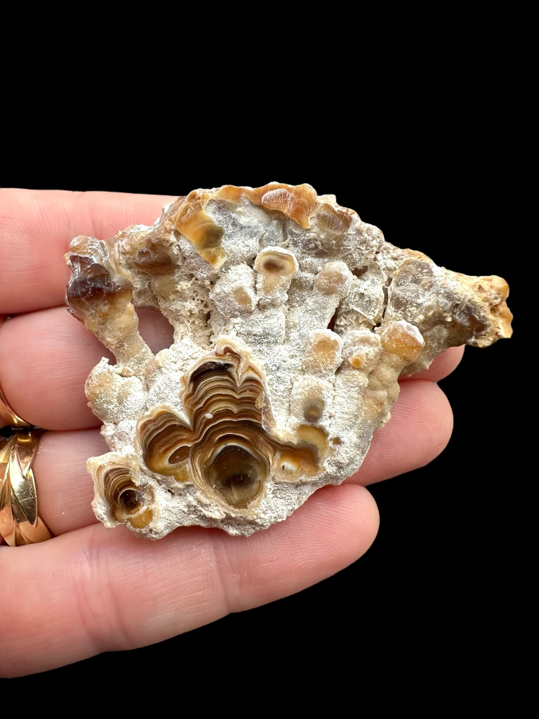 Cave calcite – Morocco - KAL030