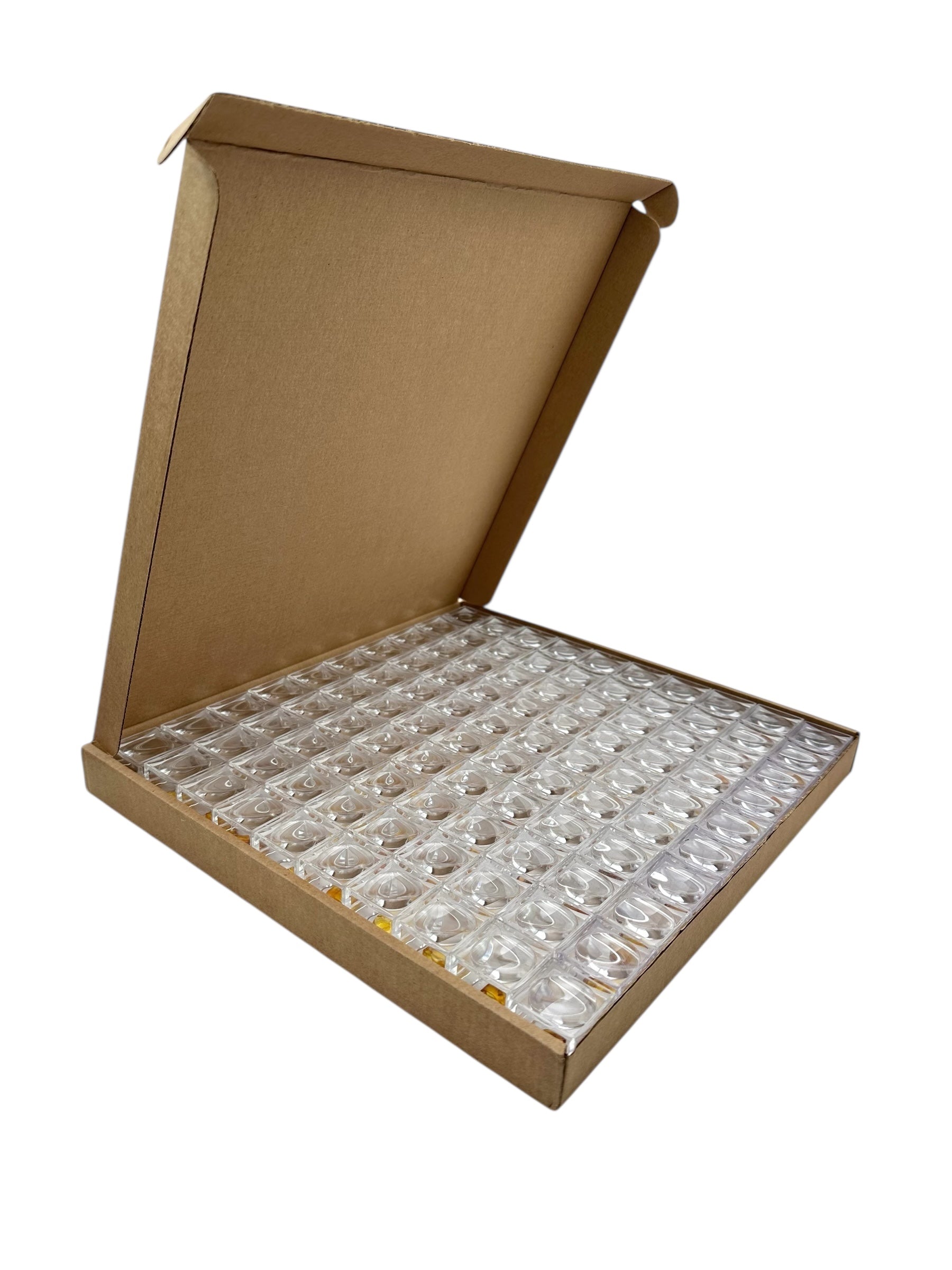Insects in amber in a box with magnifying glass – 100 pieces - IJK069