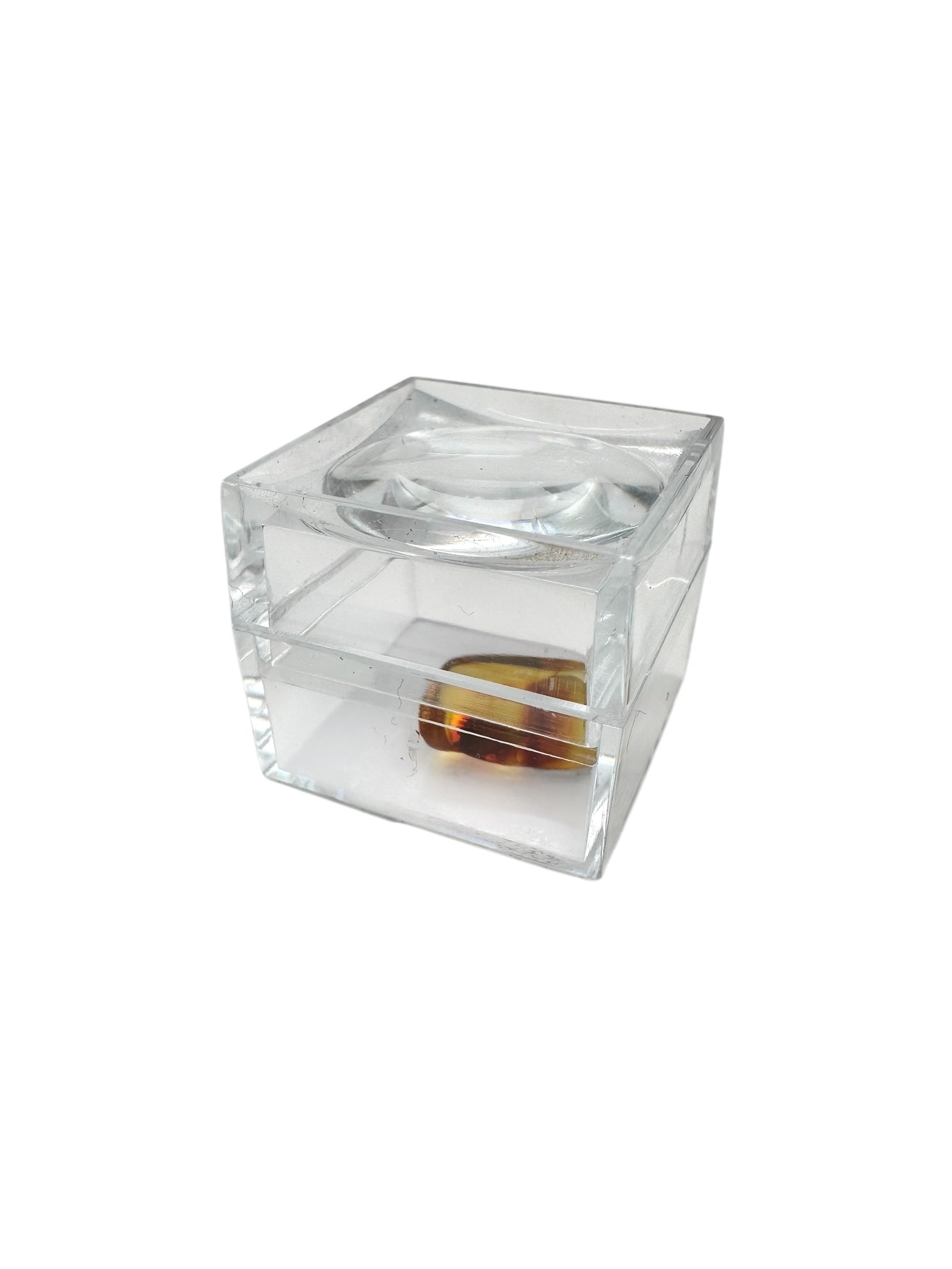 Insects in amber in a box with magnifying glass – 100 pieces - IJK069