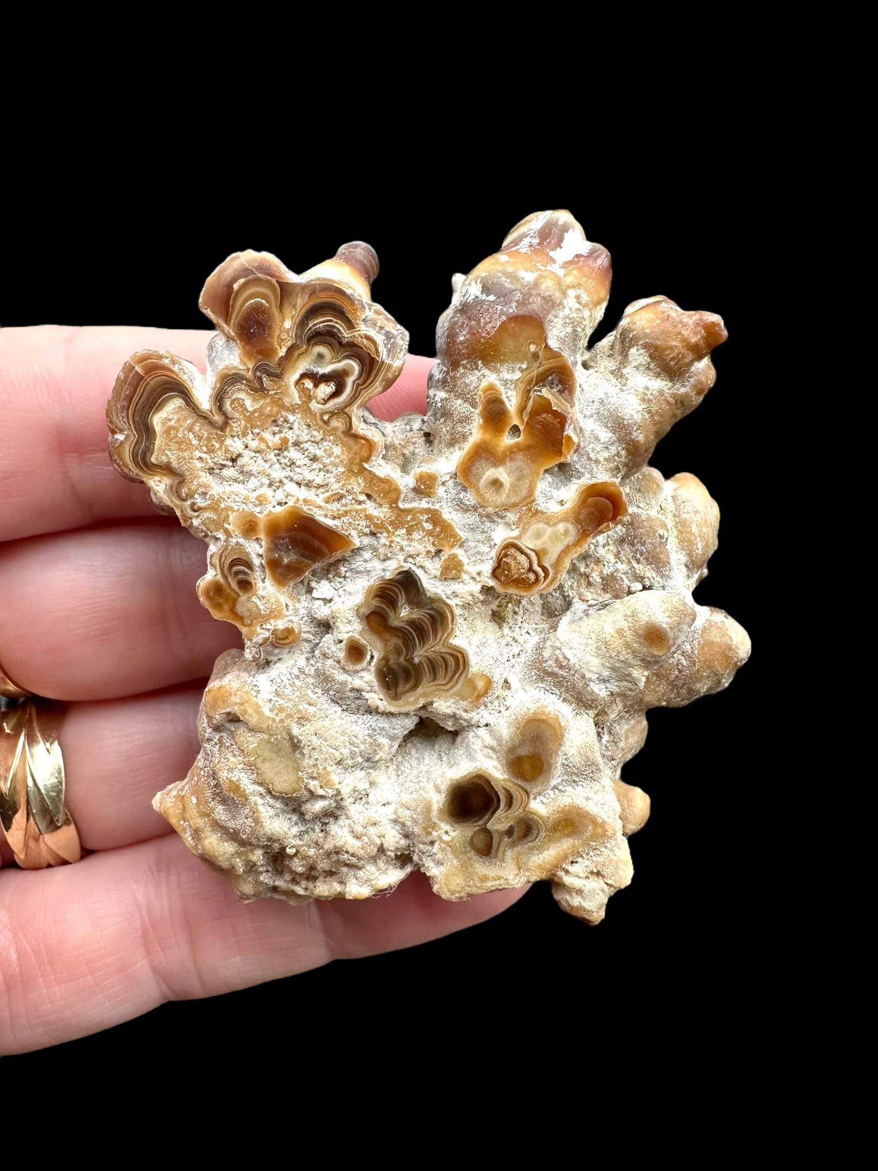 Cave calcite – Morocco - KAL032