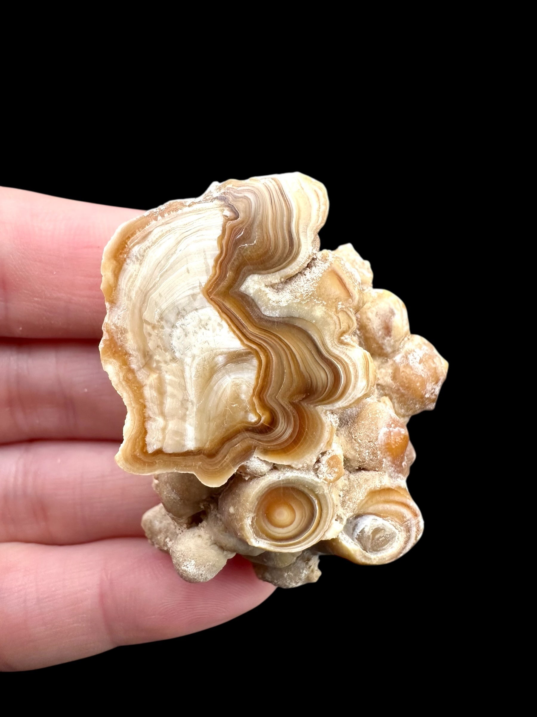 Cave calcite – Morocco - KAL034