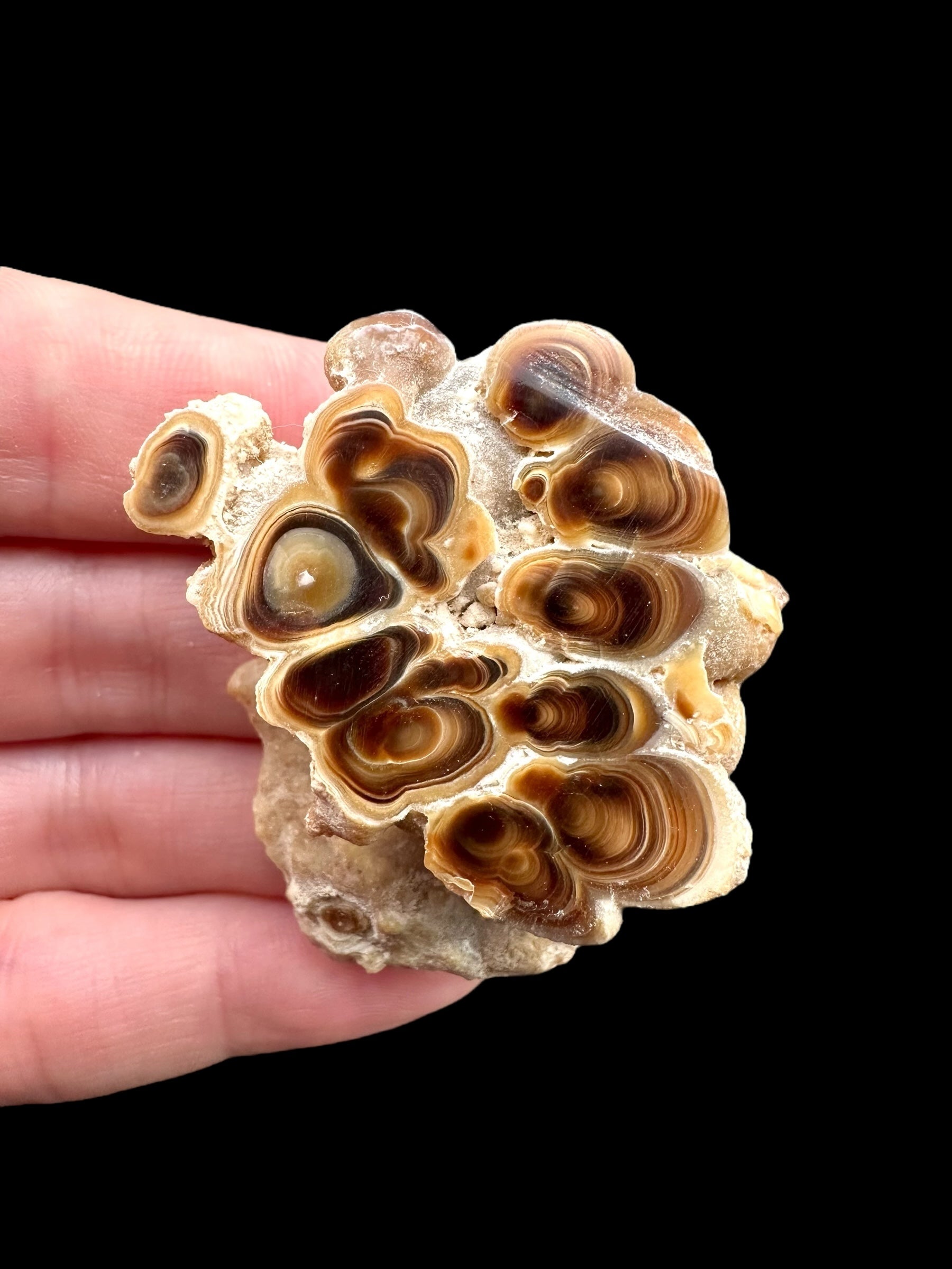 Cave calcite – Morocco